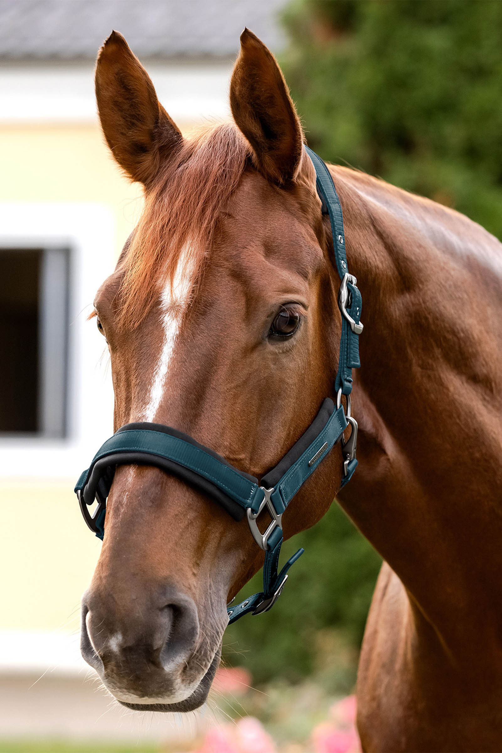 Waldhausen Soft Touch Halter 