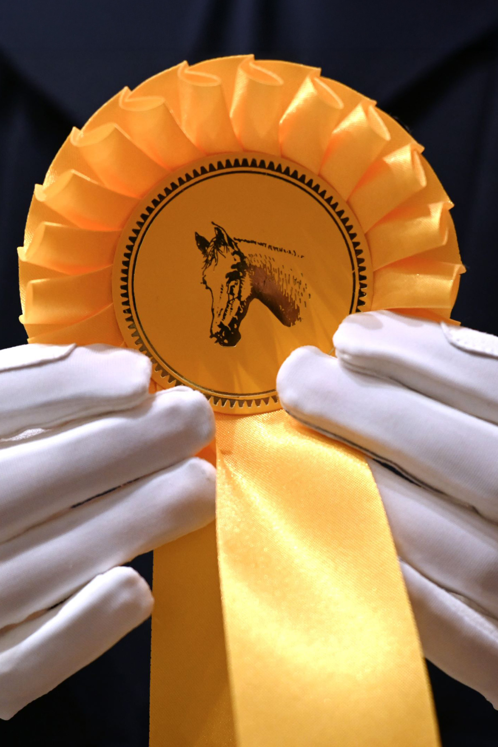 RSL Amalia ridhandskar f&ouml;r barn