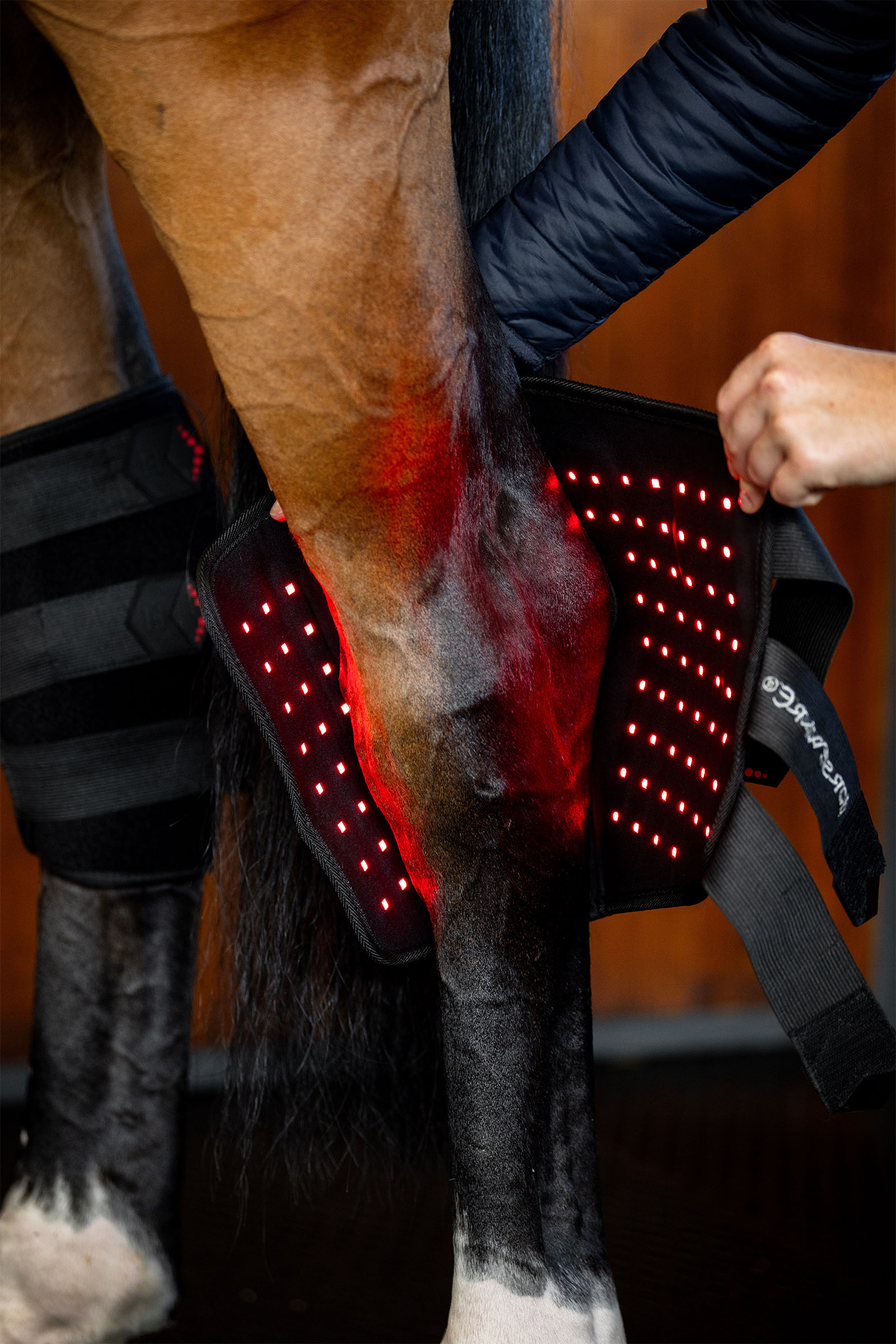 Horseware LED-r&ouml;tt ljusterapi hasskydd (1 st.)