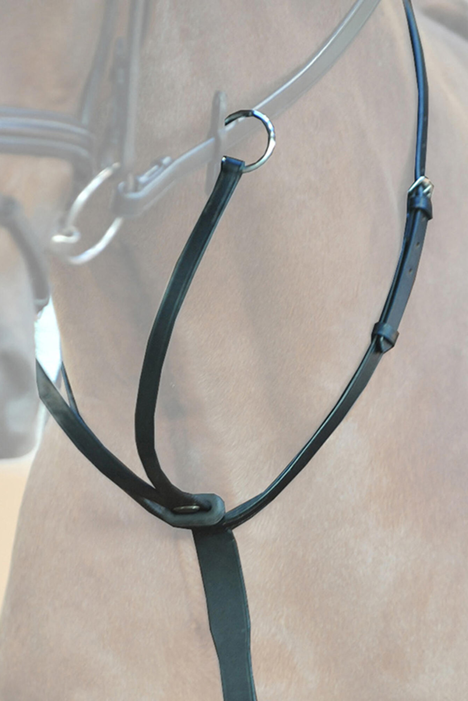 Kavalkade Ecoline Martingal med stoppare