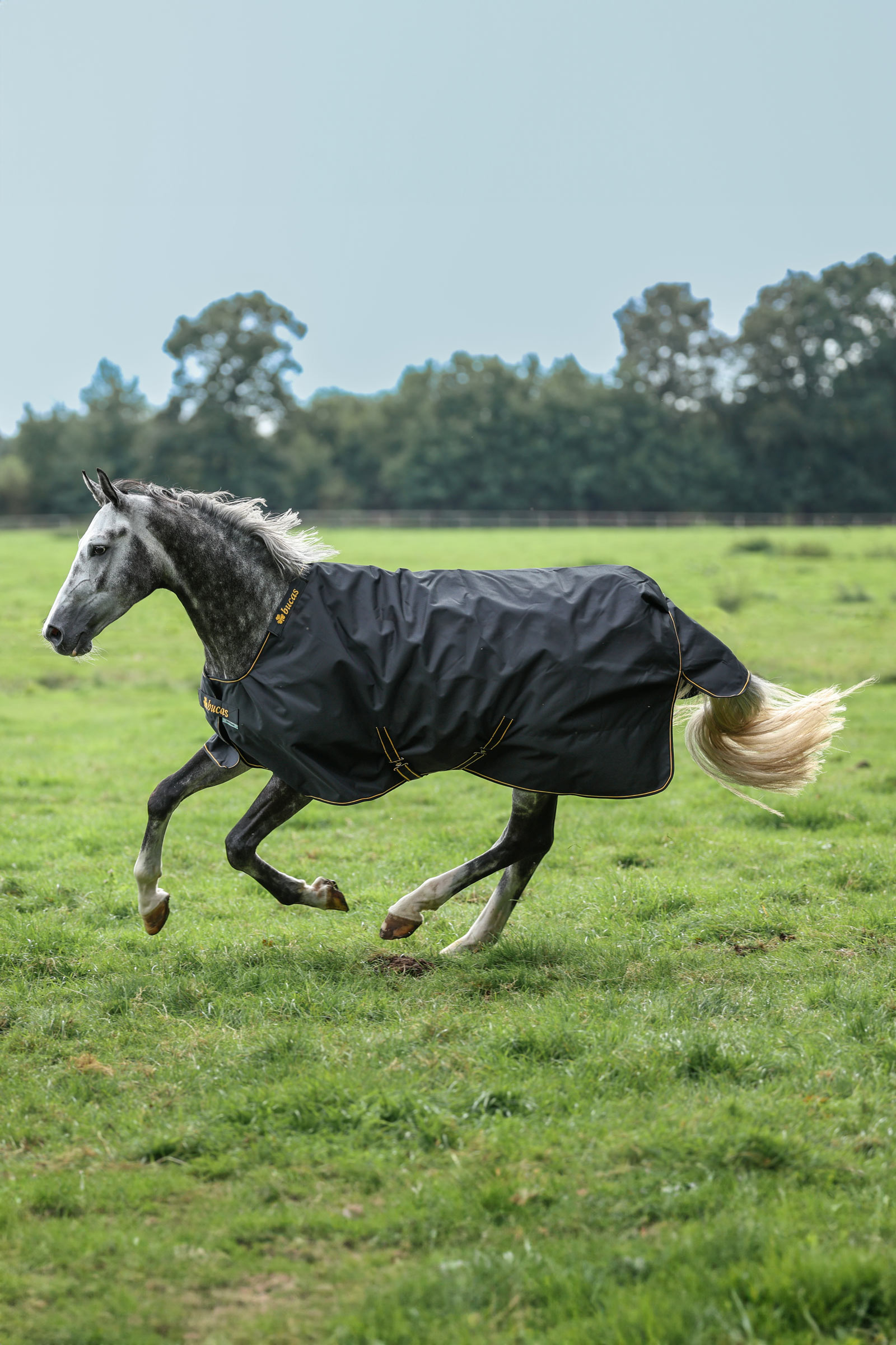 Bucas Irish Pony utetäcke, 50g