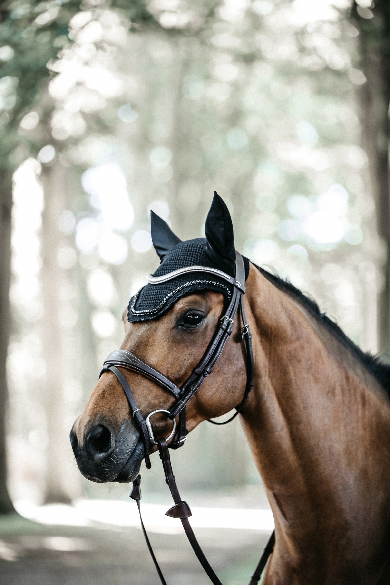 Kentucky Horsewear Wellington ridhuva med kristall & pärla