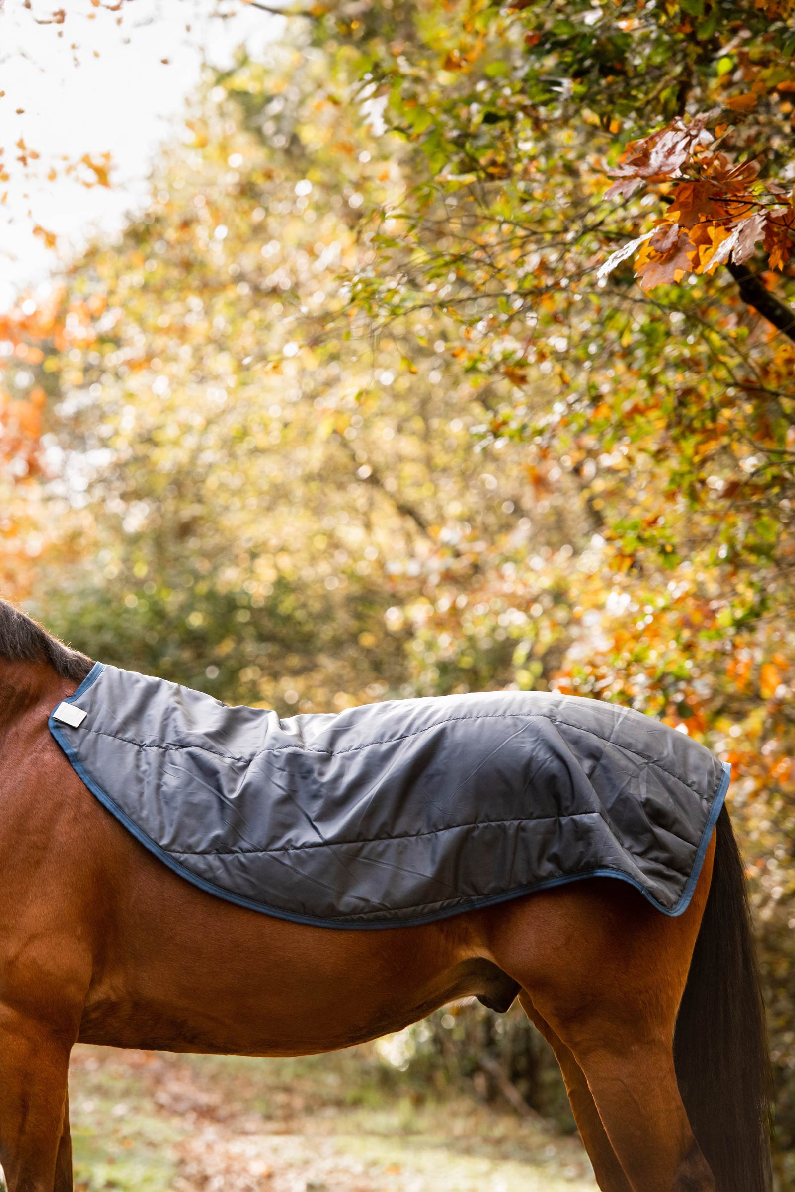 Horseware Rambo Autumn Series utetäcke med undertäcke (0 g / 100 g)