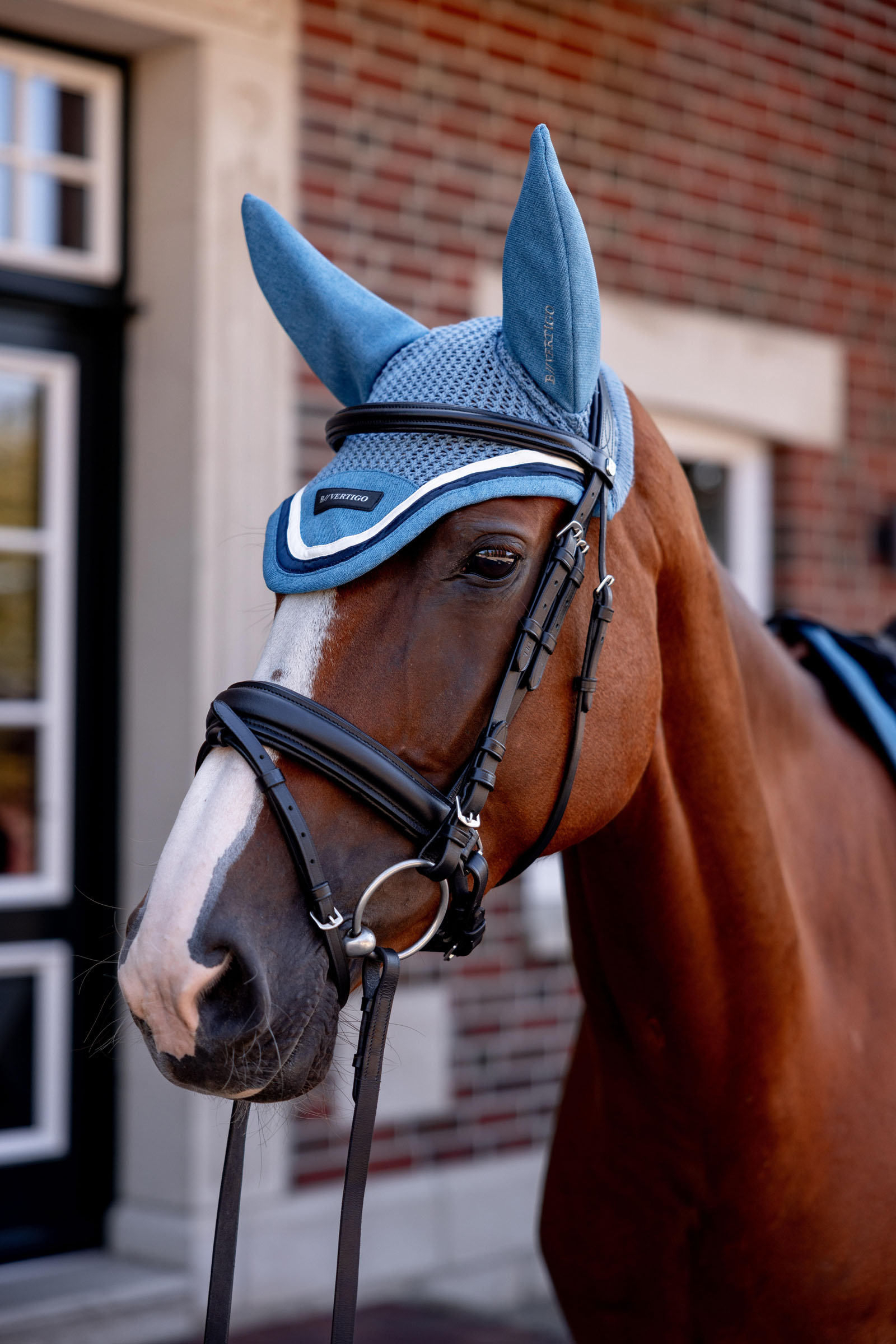 B Vertigo High Altitude &ouml;ronskydd