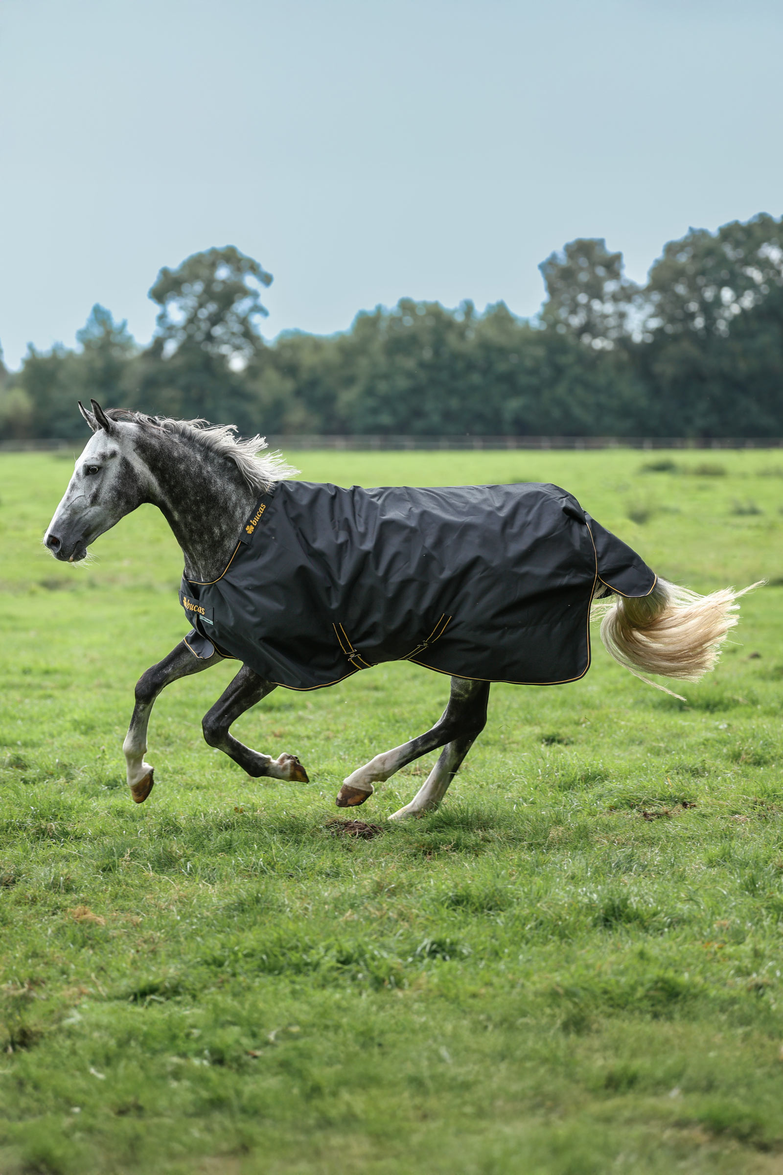 Bucas Irish utetäcke, 100 g