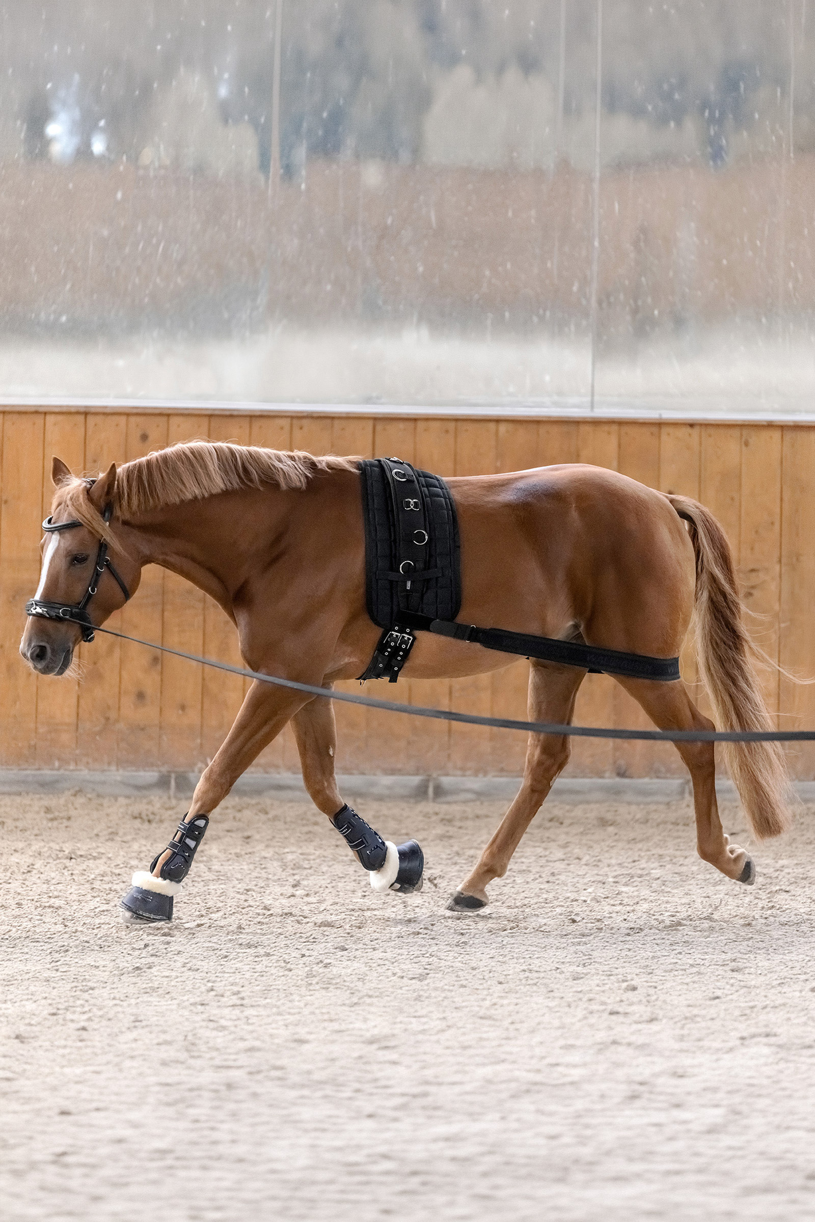 Waldhausen kroppsbinda f&ouml;r aktivering av bakdelen