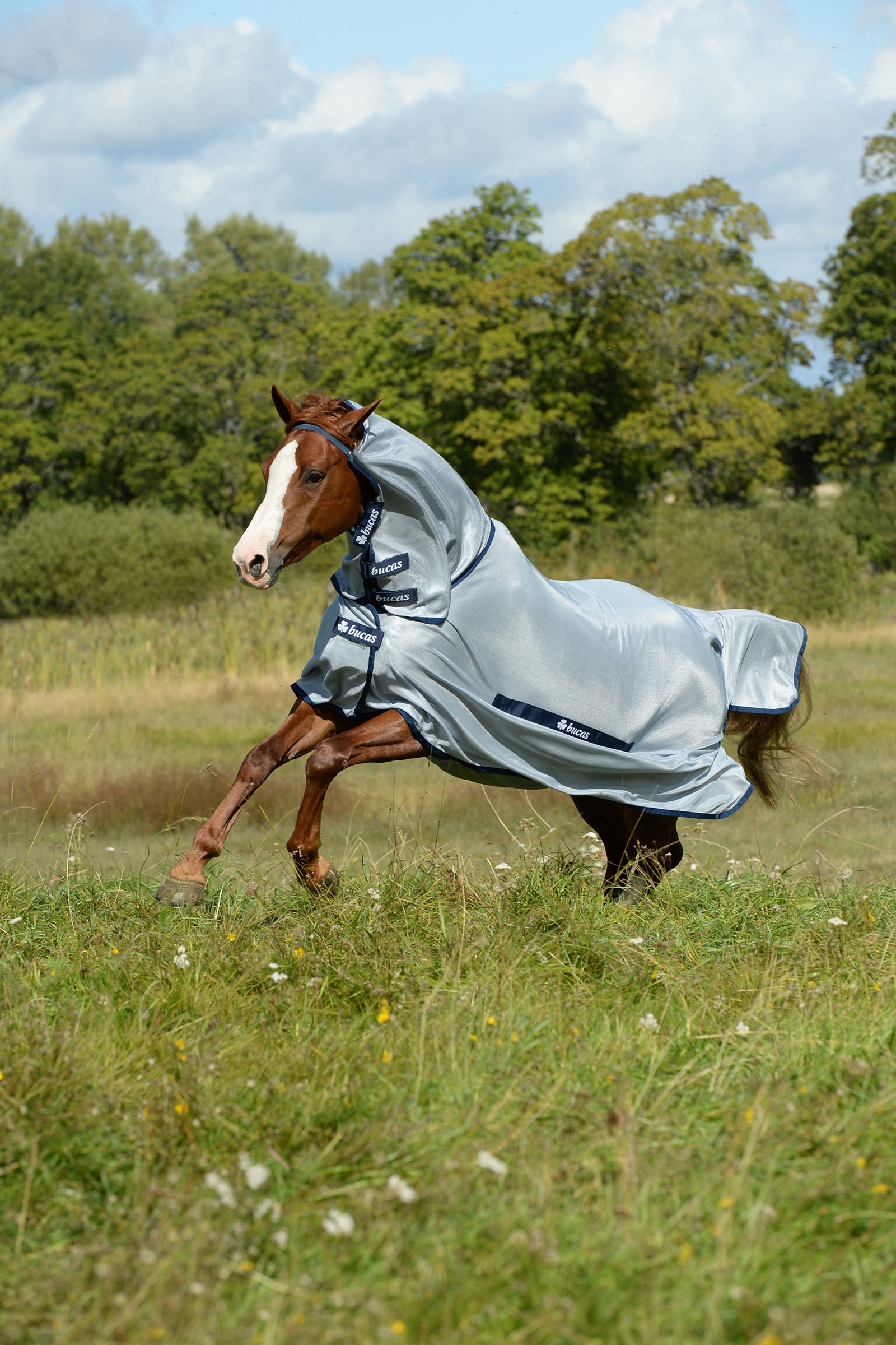 Buzz-Off Full Neck ponnytäcke med hals
