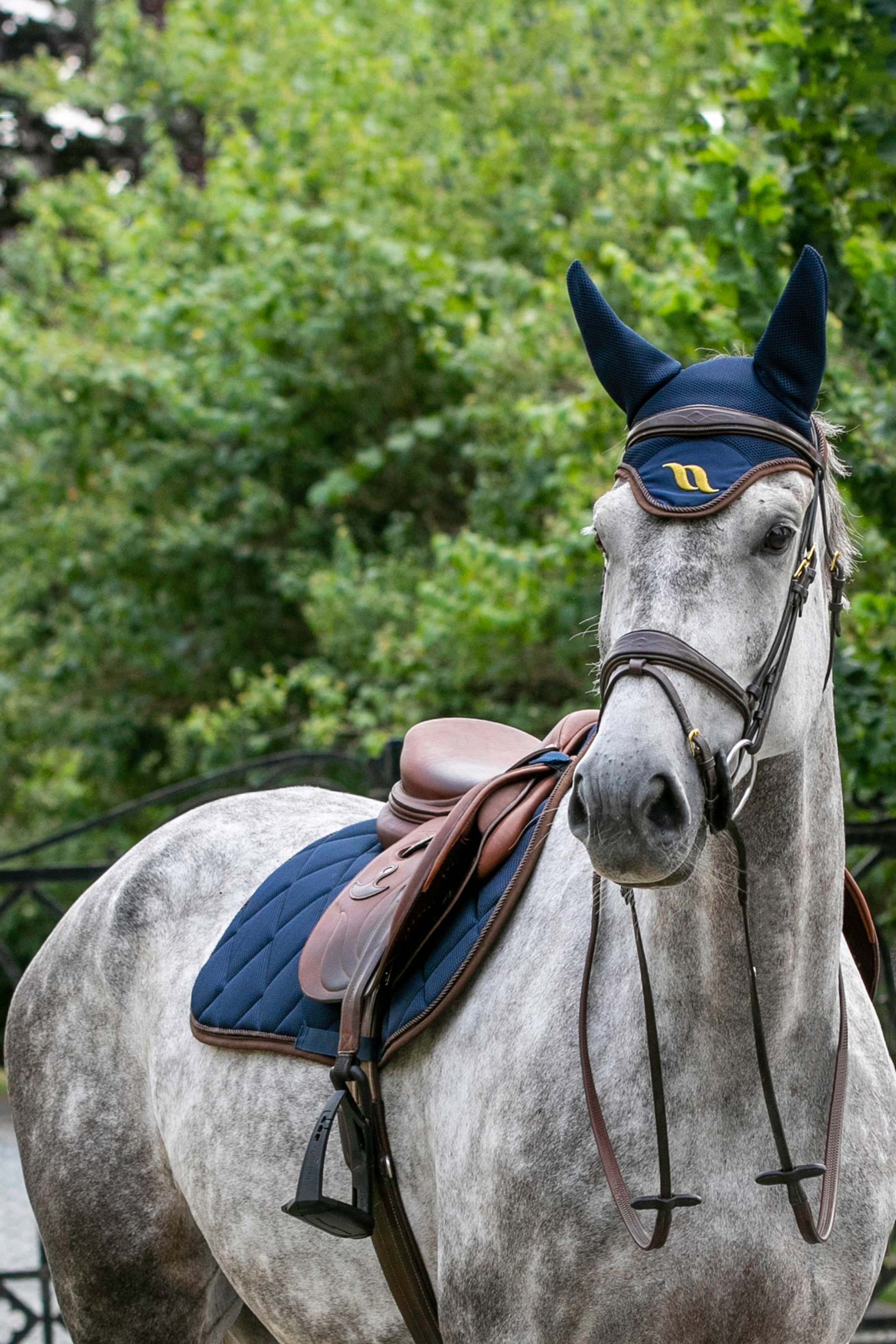 Back on Track Airflow flughuva