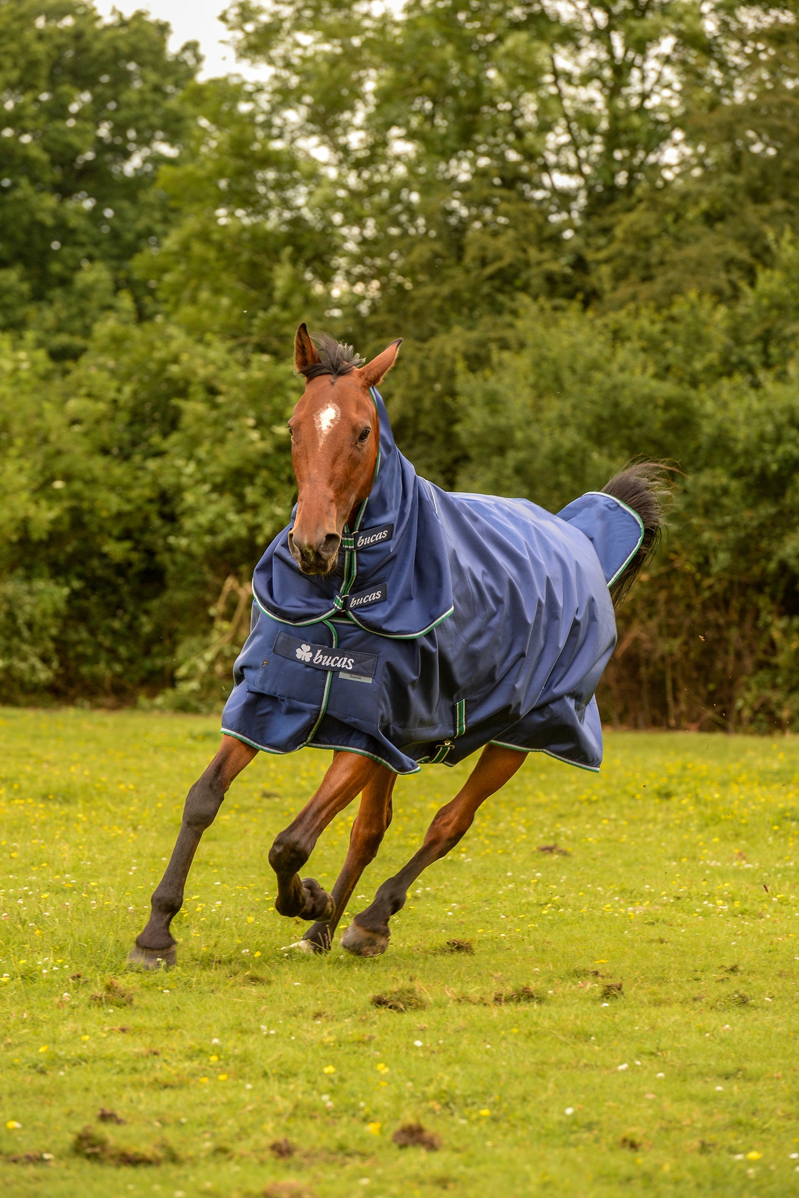 Bucas Smartex Rain Pony Turnout Rug with Cooling Function, 0g