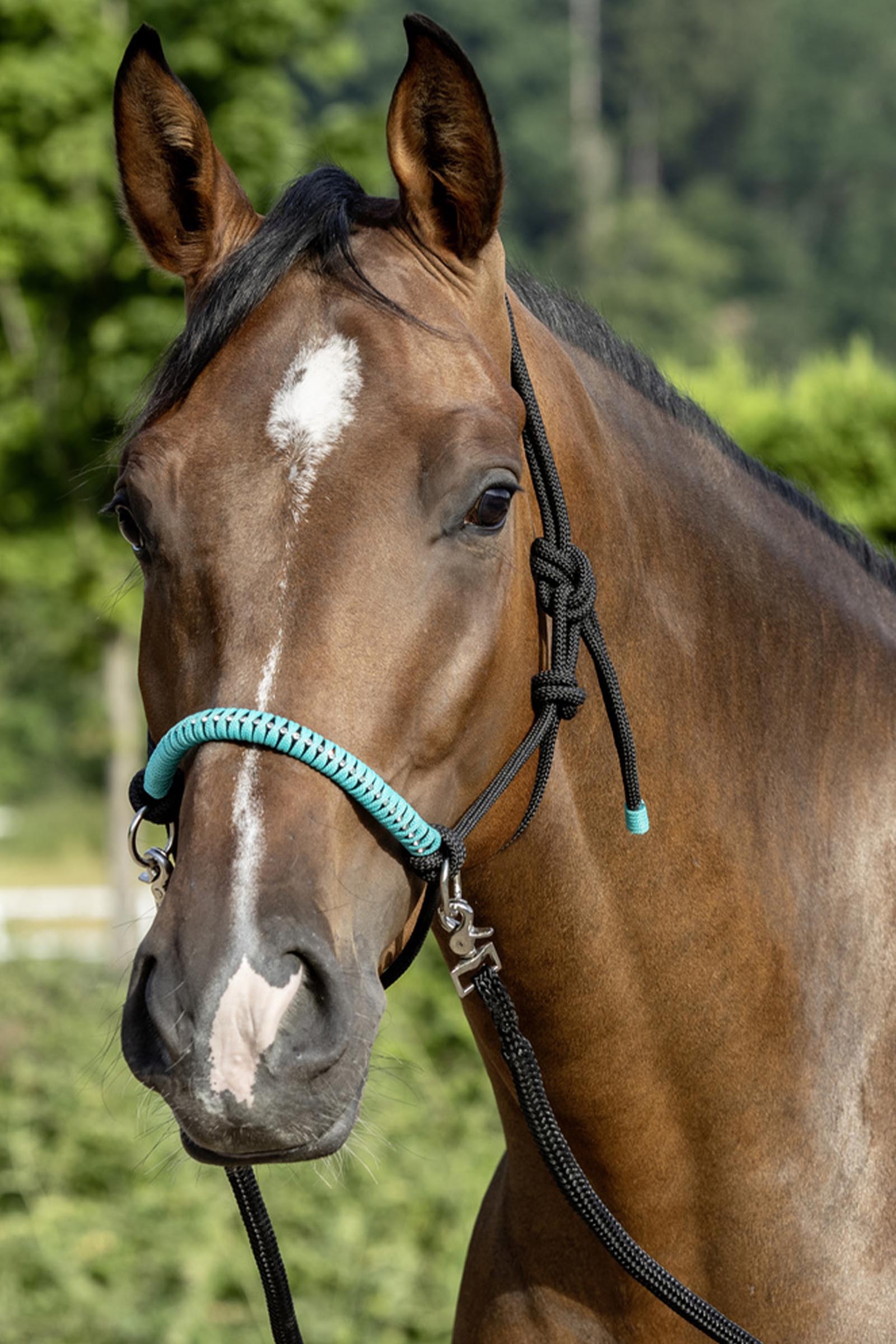 USG repgrimma med tyglar