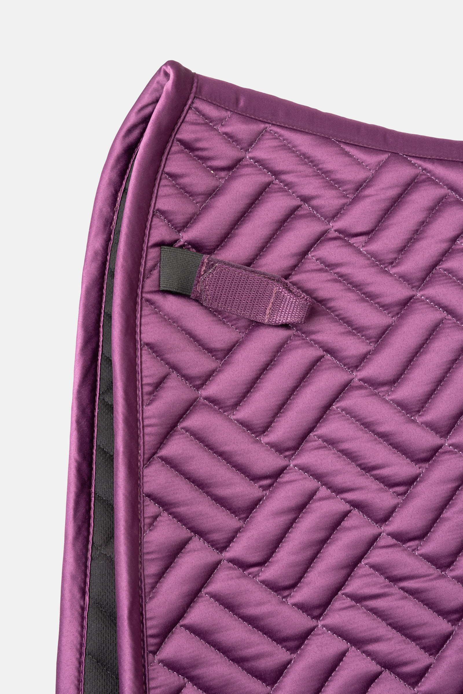 B Vertigo Pure Engineering dressyrschabrak