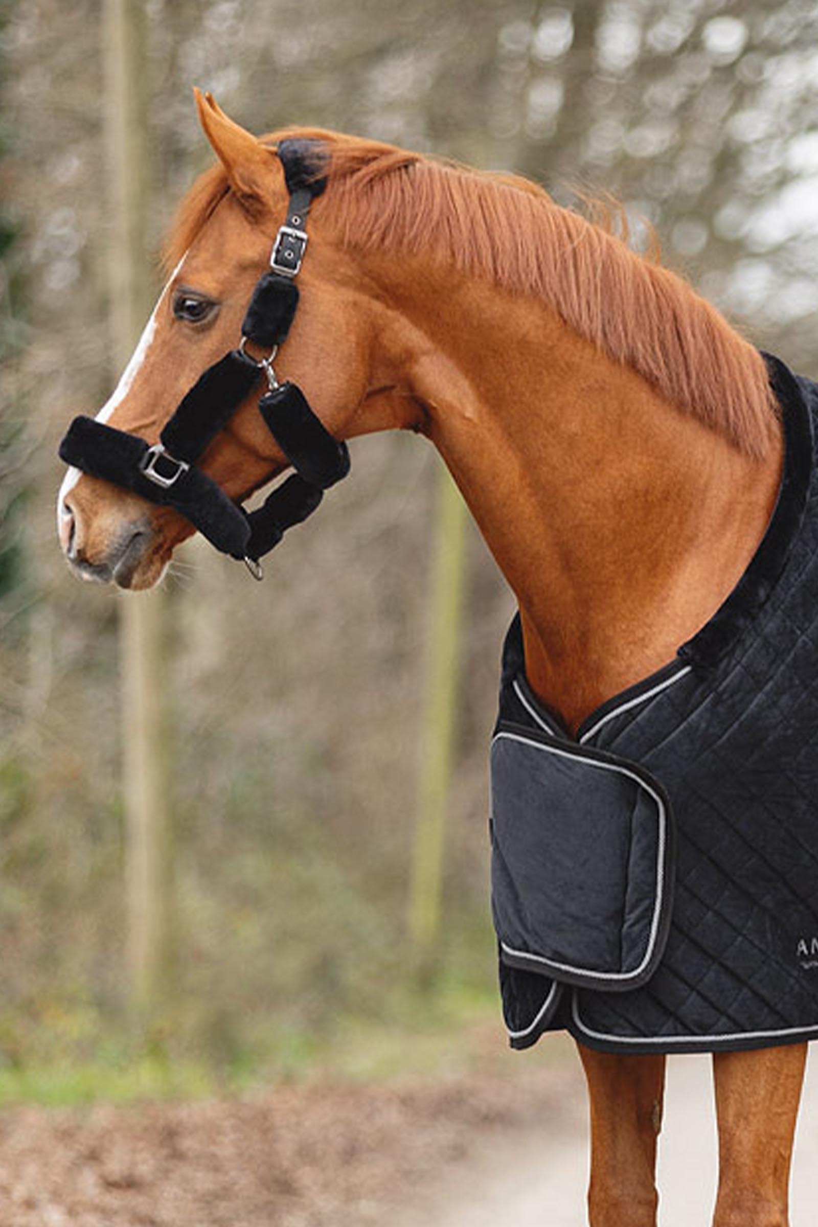 ANKY Victory T&auml;vlingsfilt, 200 g