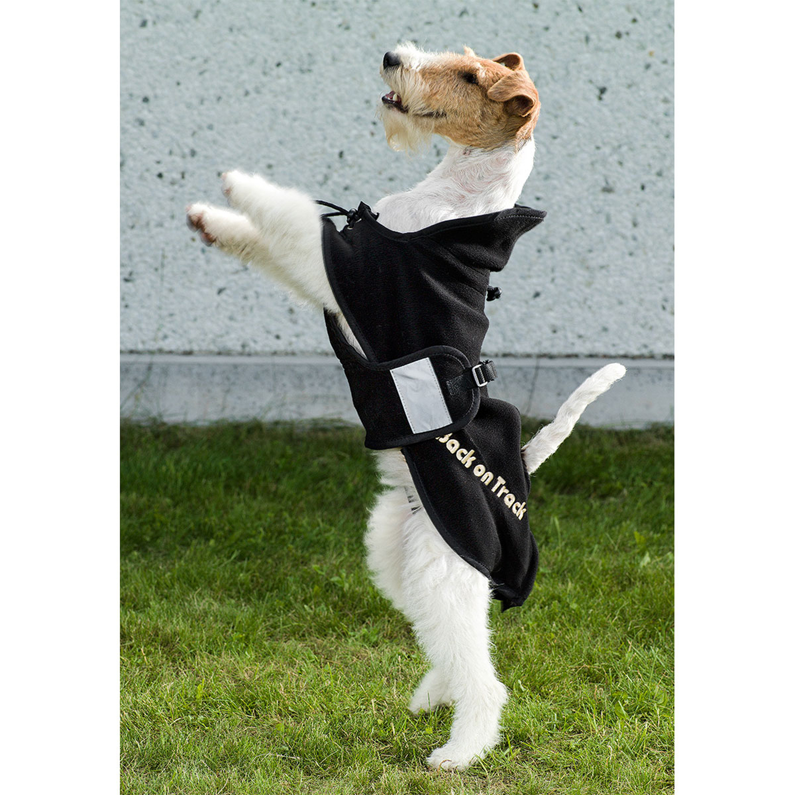 Back on Track hundfleecet&auml;cke, 21-34