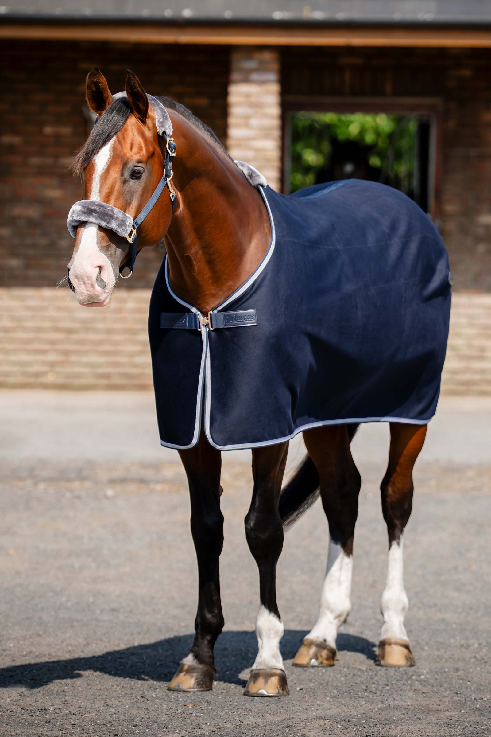 Bucas Emerald Ullteppe