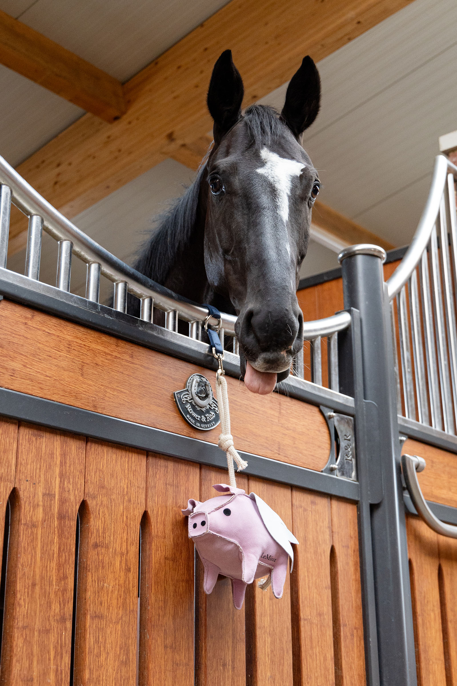 LeMieux h&auml;stleksak flygande gris