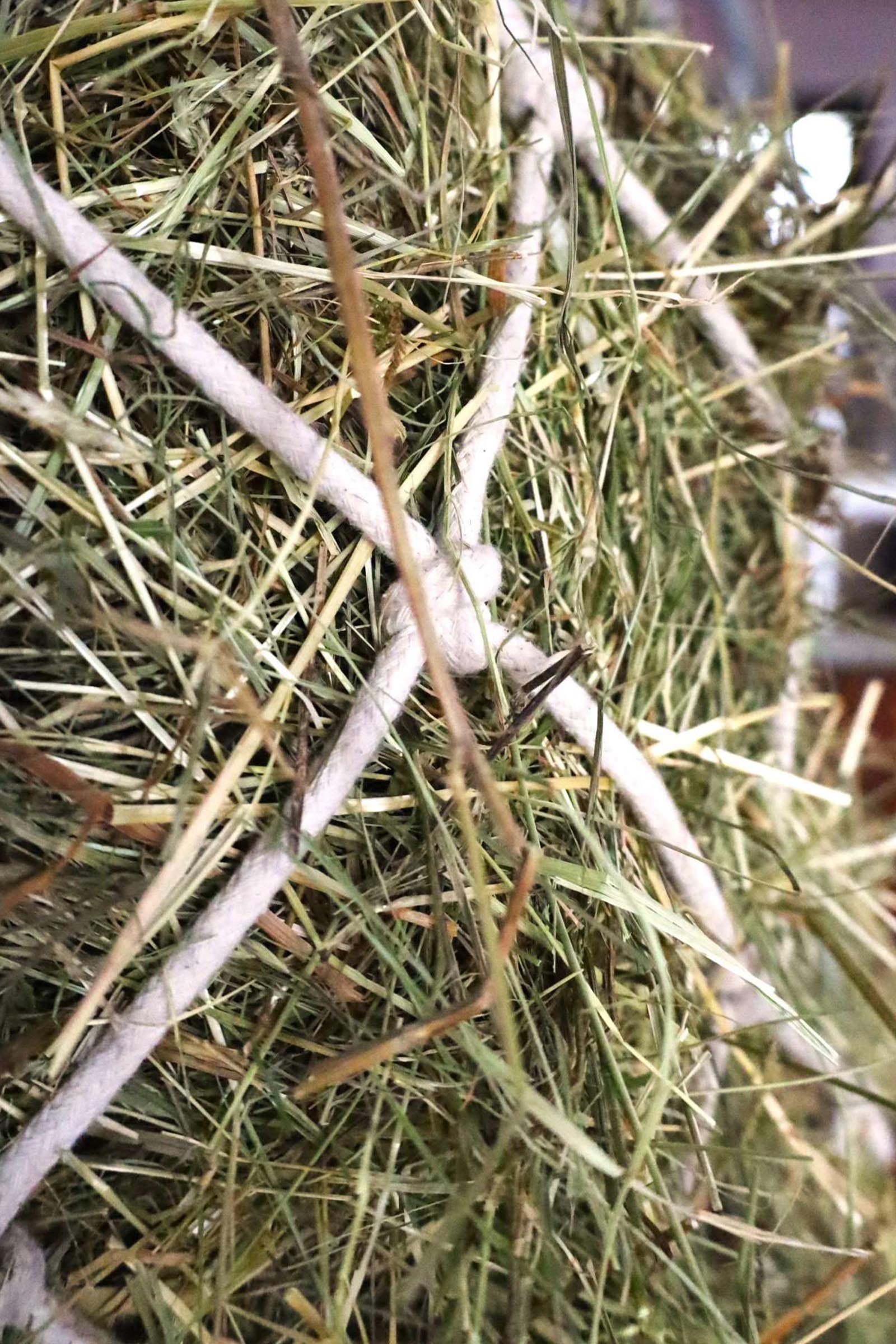 USG h&ouml;n&auml;t i bomull, maskstorlek 10 x 10 cm