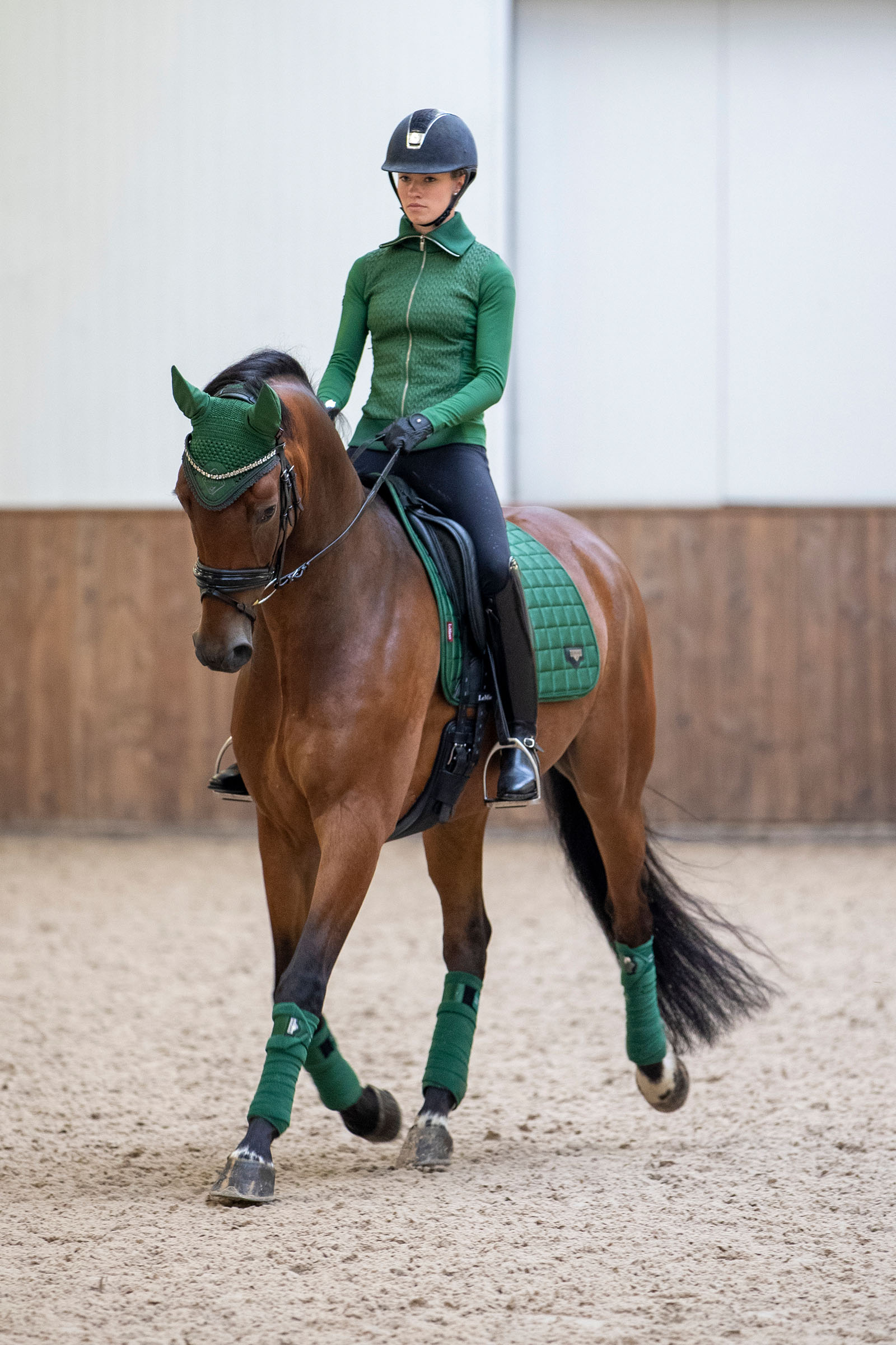 LeMieux Loire Classic dressyrschabrak