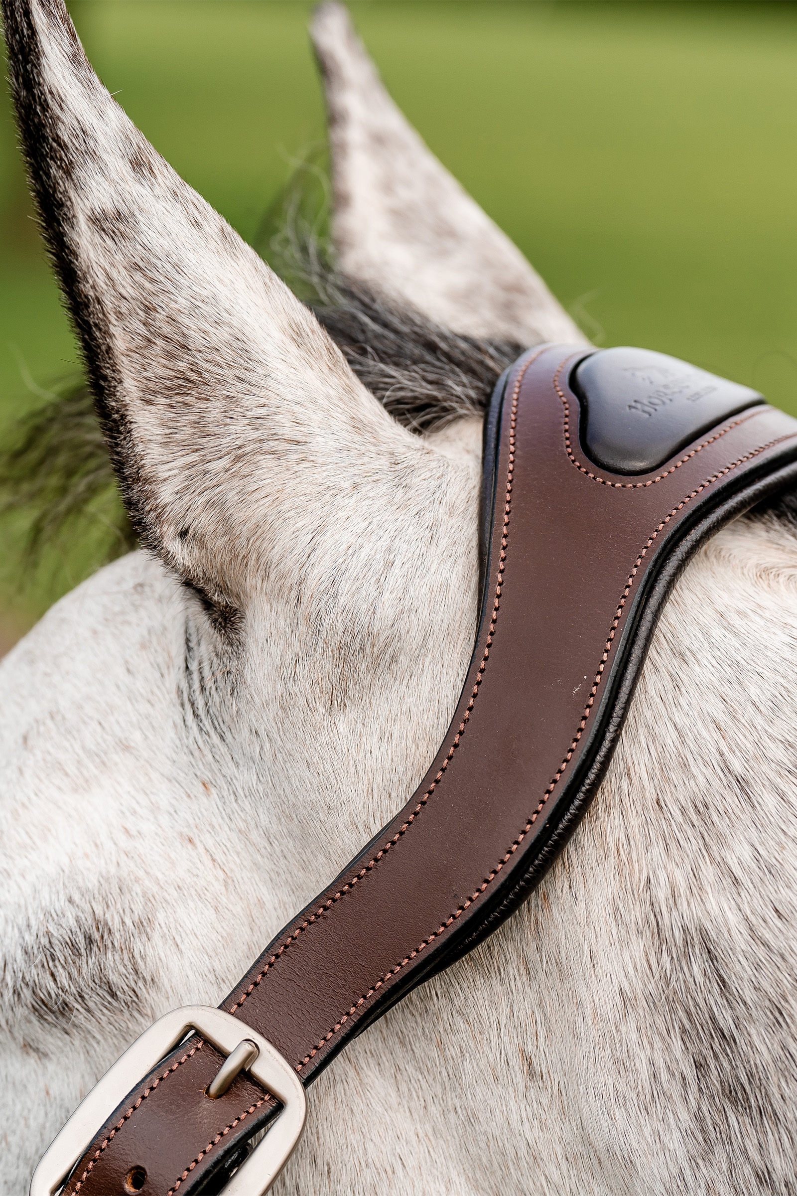 Horseware Signature flätad grimma