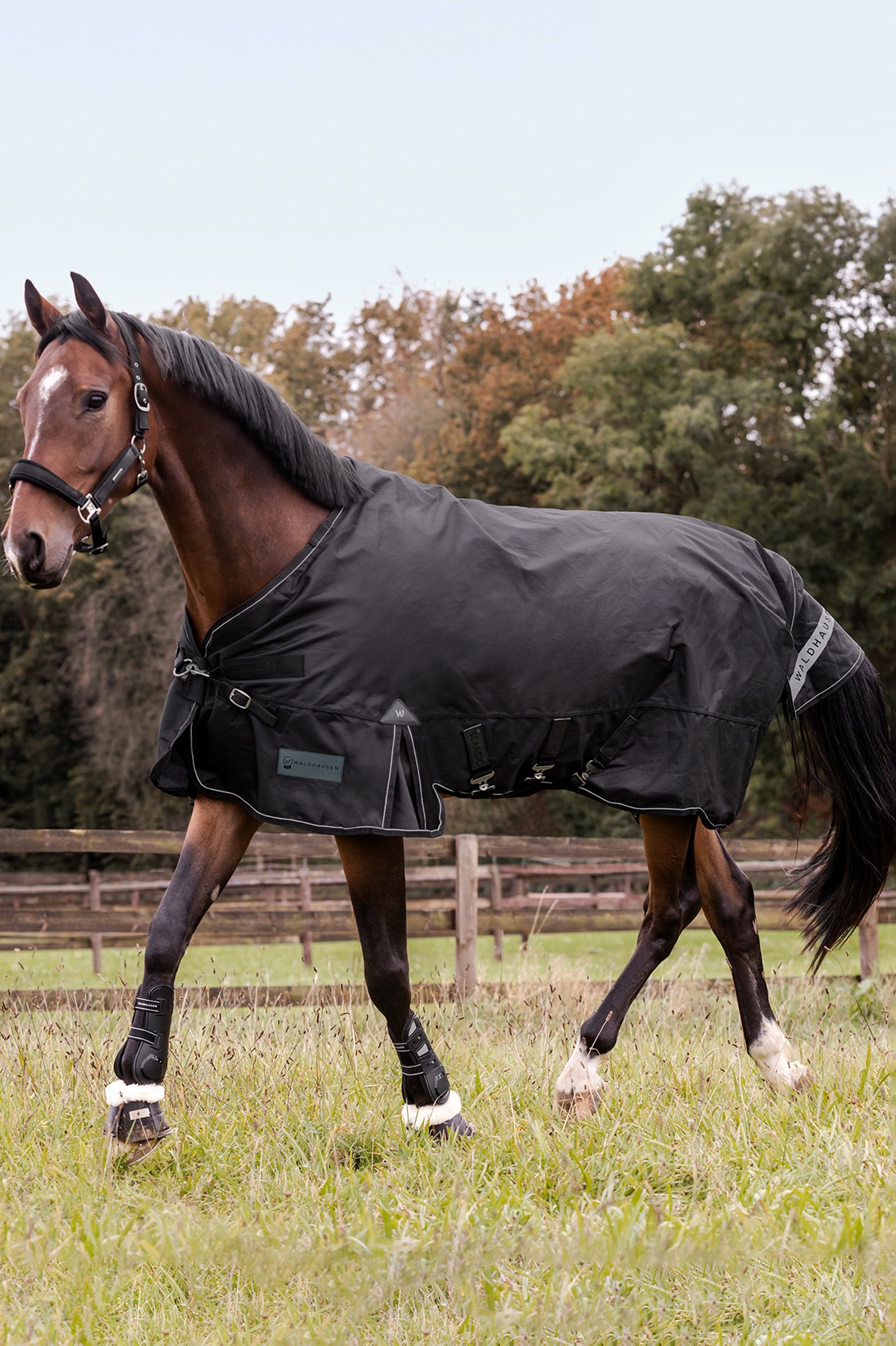 Waldhausen Utomhusmatta Scandic Flerskiktsdesign 250 g/100 g