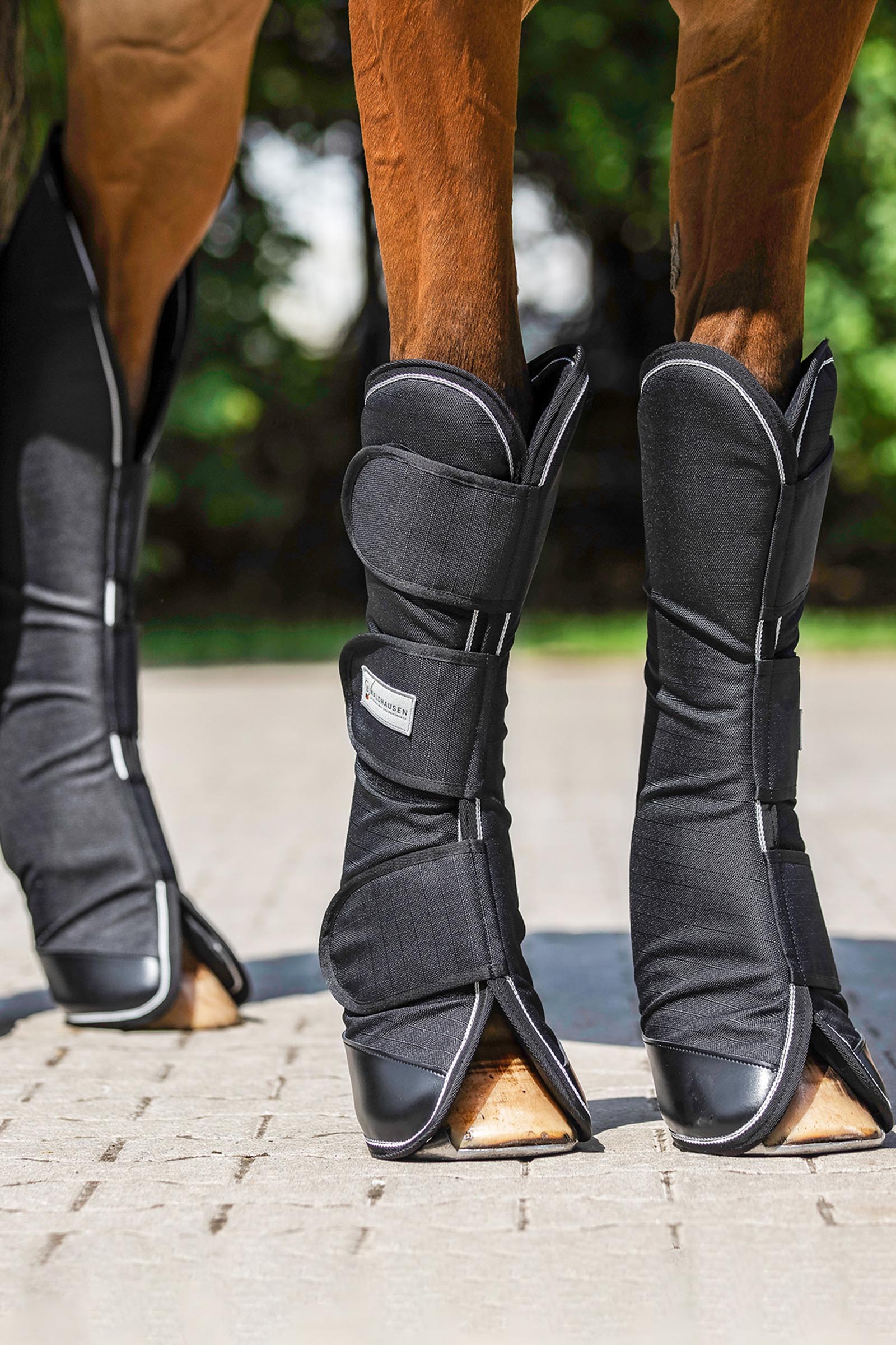 Waldhausen Comfort Line transportskydd (4-pack)