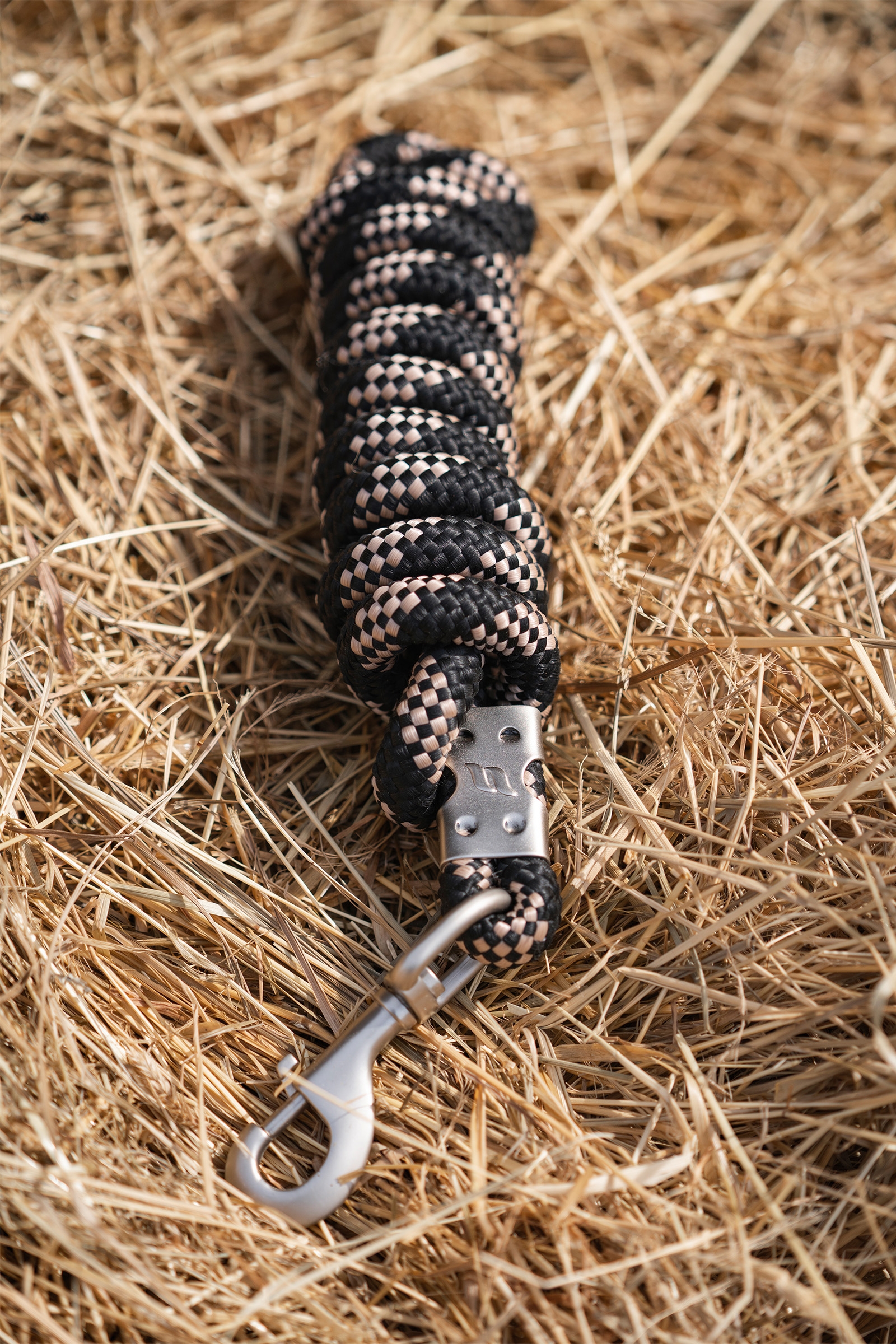 Back on Track Ace Grimskaft