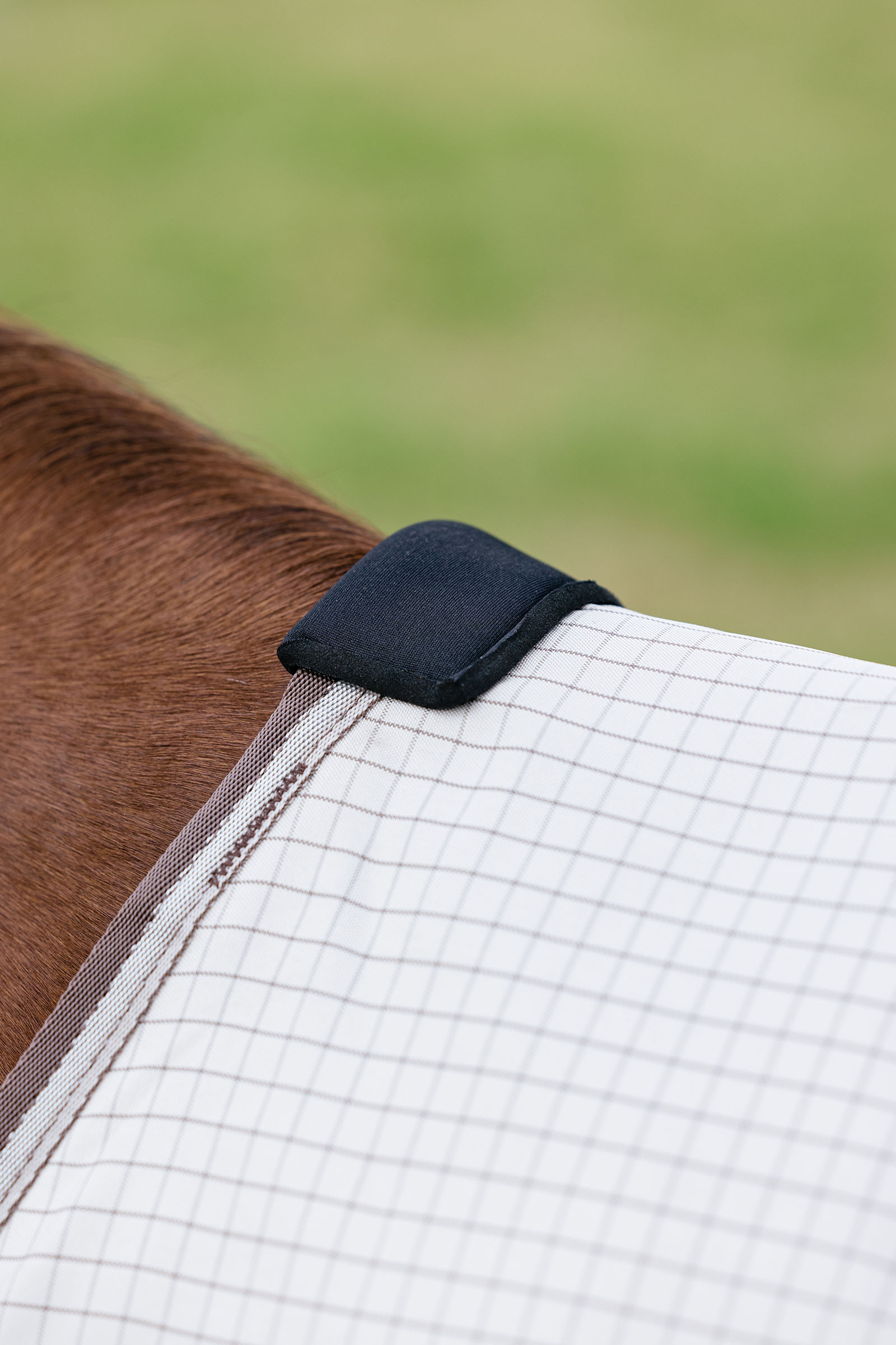 LeMieux Arika 450D Sunstopper utetäcke med avtagbar halsdel, 0 g