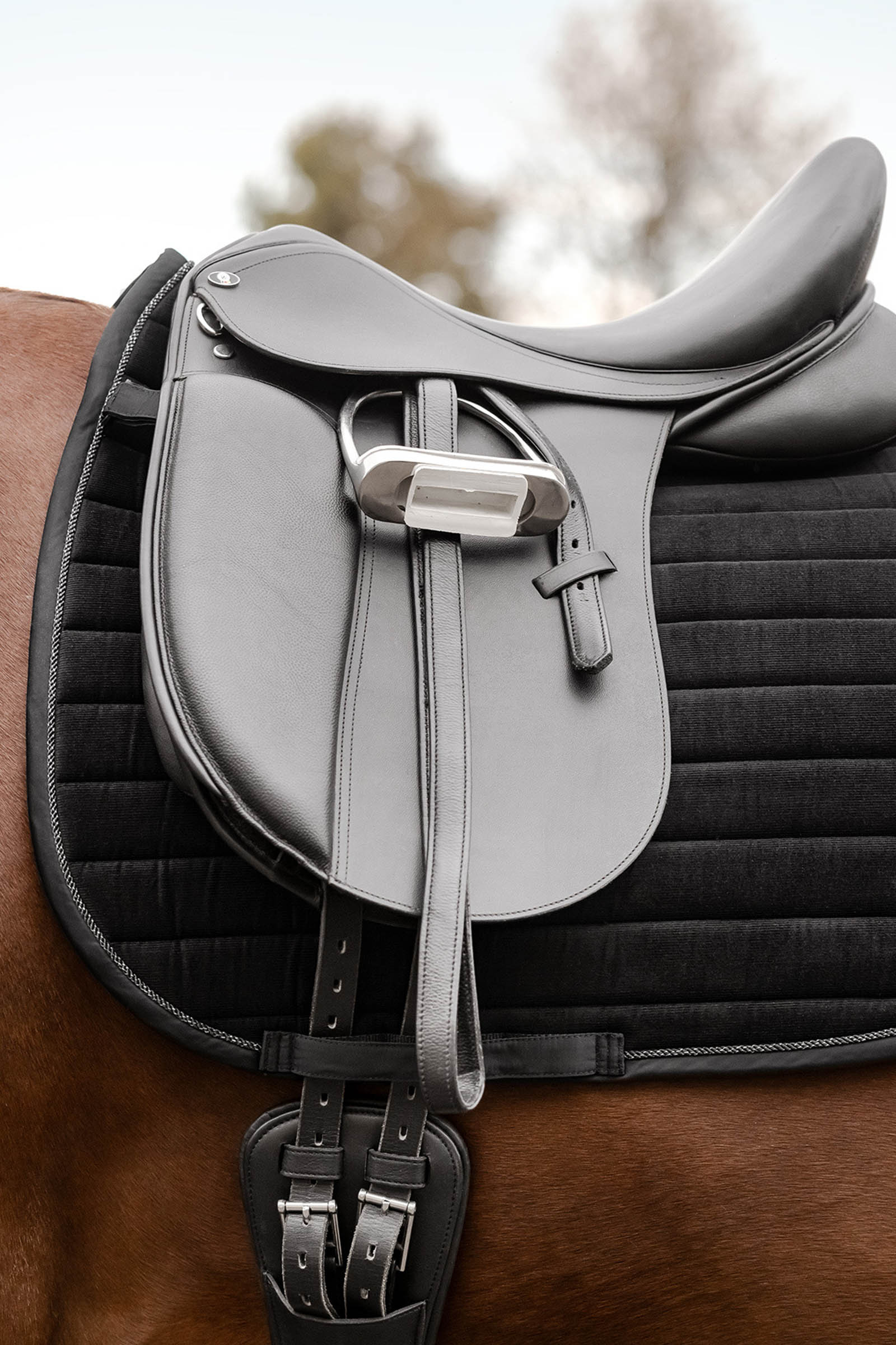 Waldhausen St. Gallen Dressage Saddle Pad 