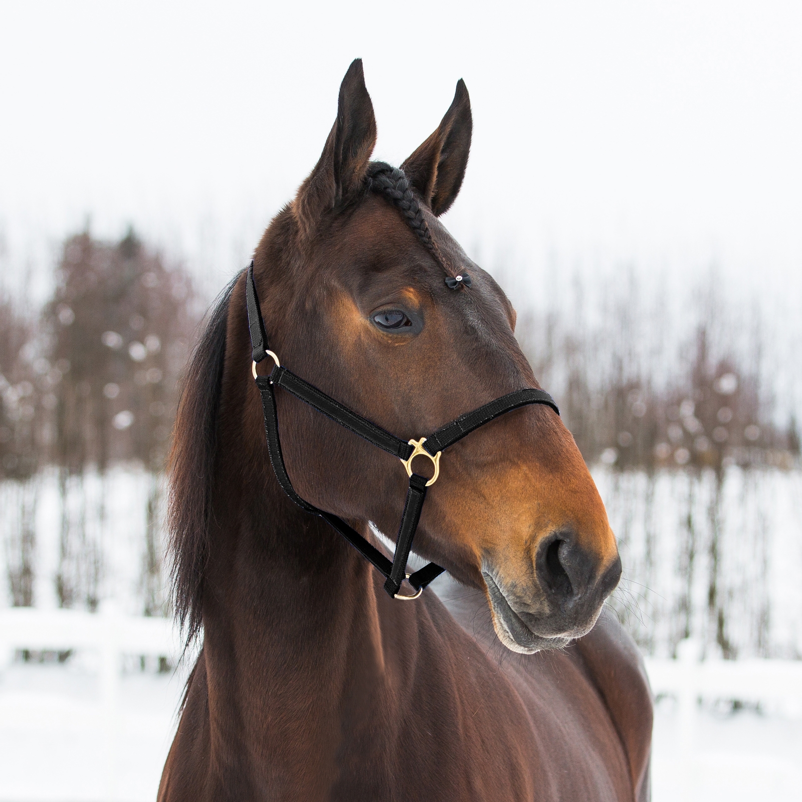 Black Finntack Pro Yankee nylongrimma