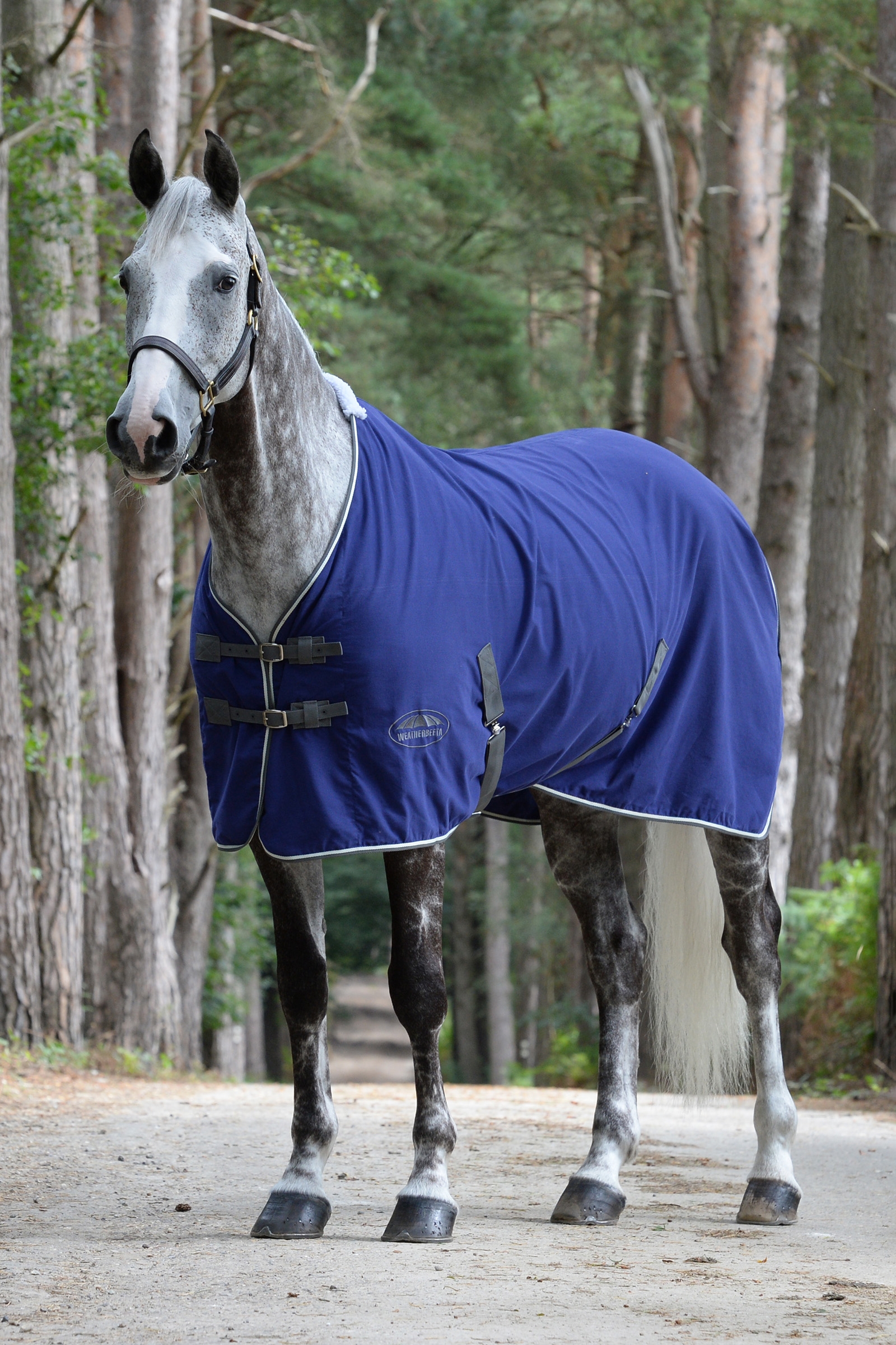 Weatherbeeta Cotton tävlingstäcke