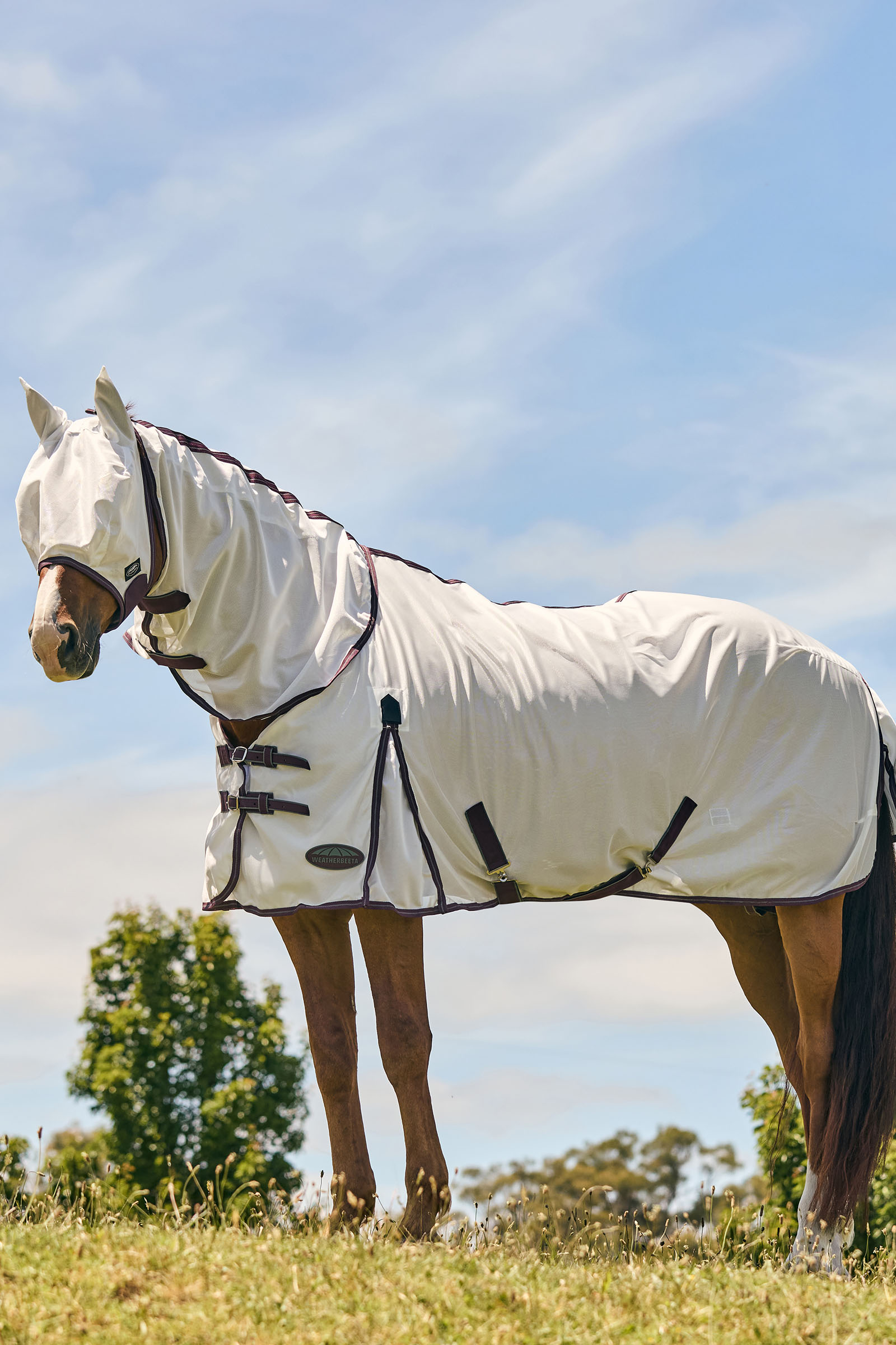 Weatherbeeta Comfitec Essential meshn&auml;tmask