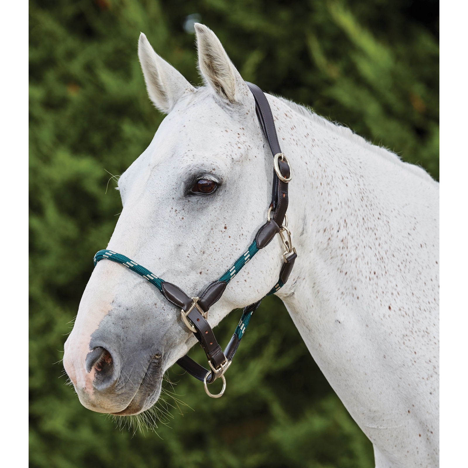 Hunter Green/Brown Kincade l&auml;dergrimma med repdetaljer