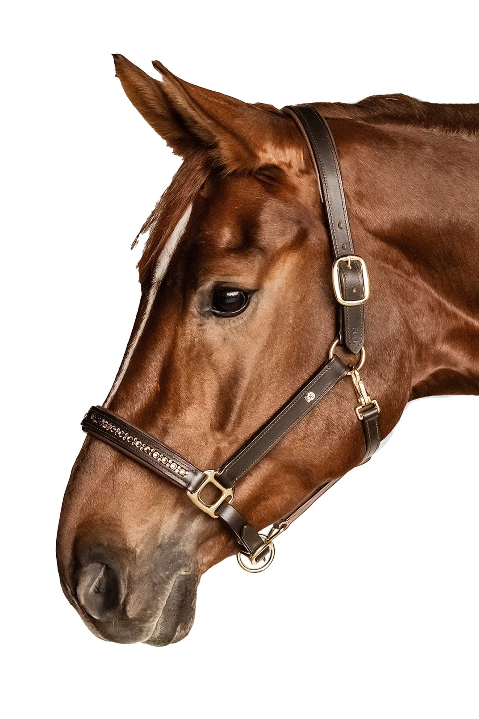 Waldhausen X-Line Crystal Lädergrimma