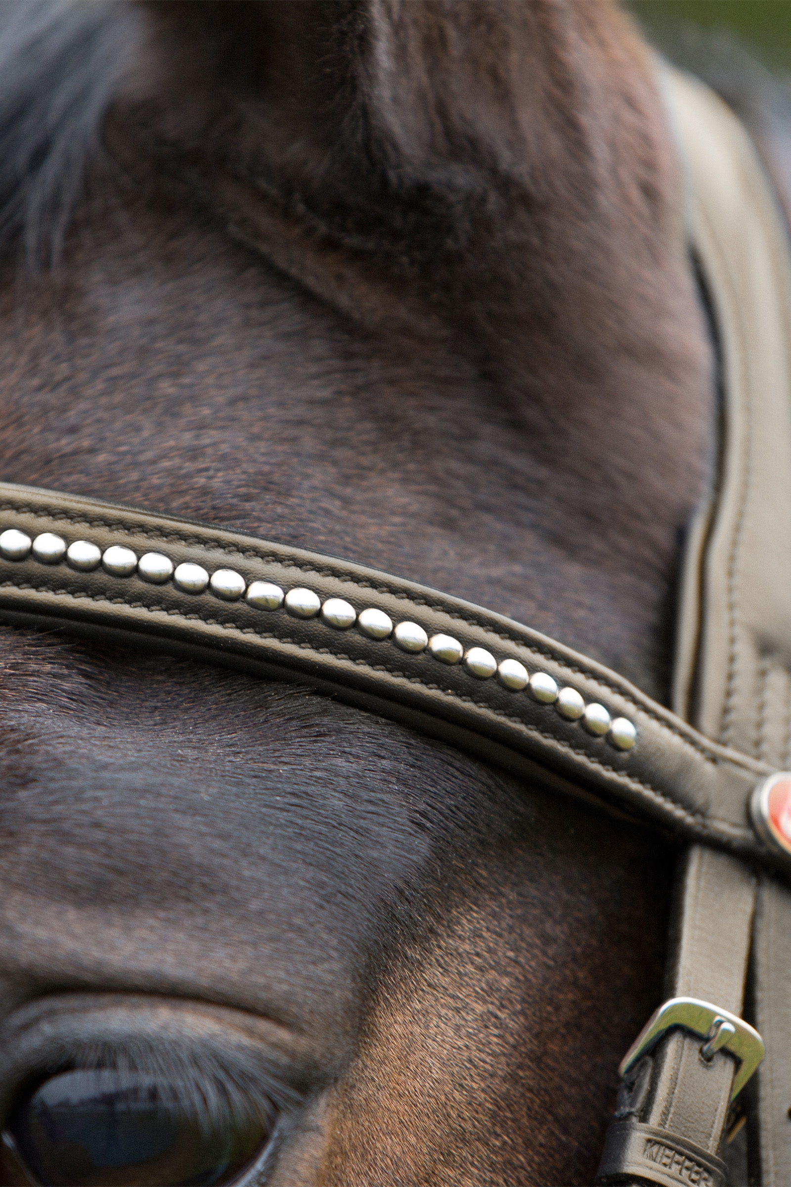 Kieffer Ultrasoft&reg; Bridle