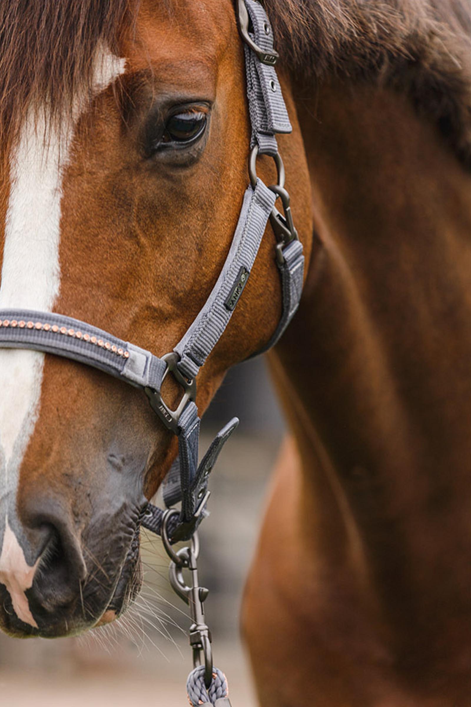 ANKY Stones Grimma och Grimskaft