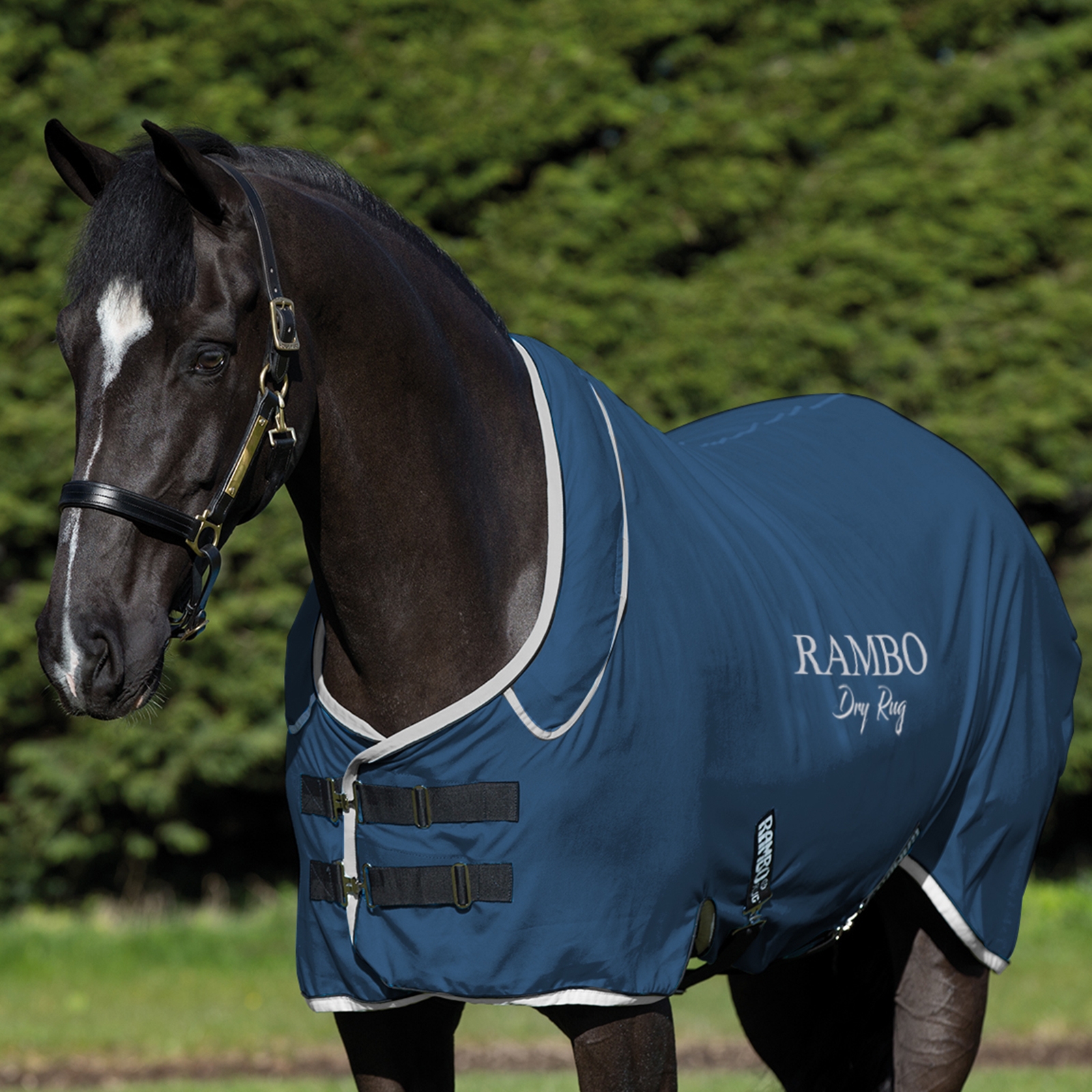 Horseware Rambo Dry täcke