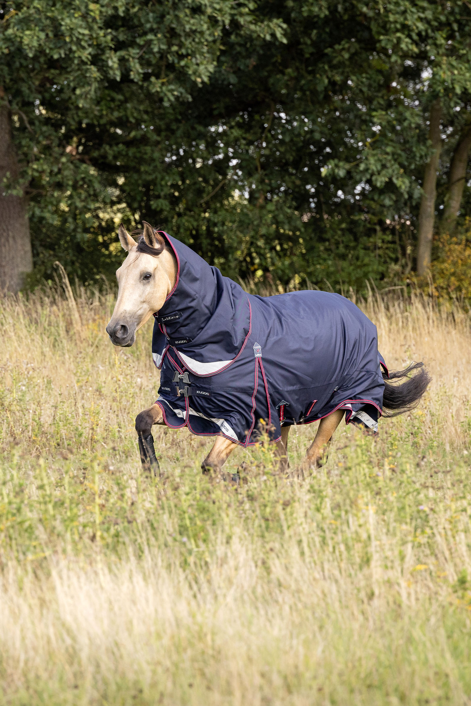LeMieux Kudos l&auml;tt utet&auml;cke, 100 g