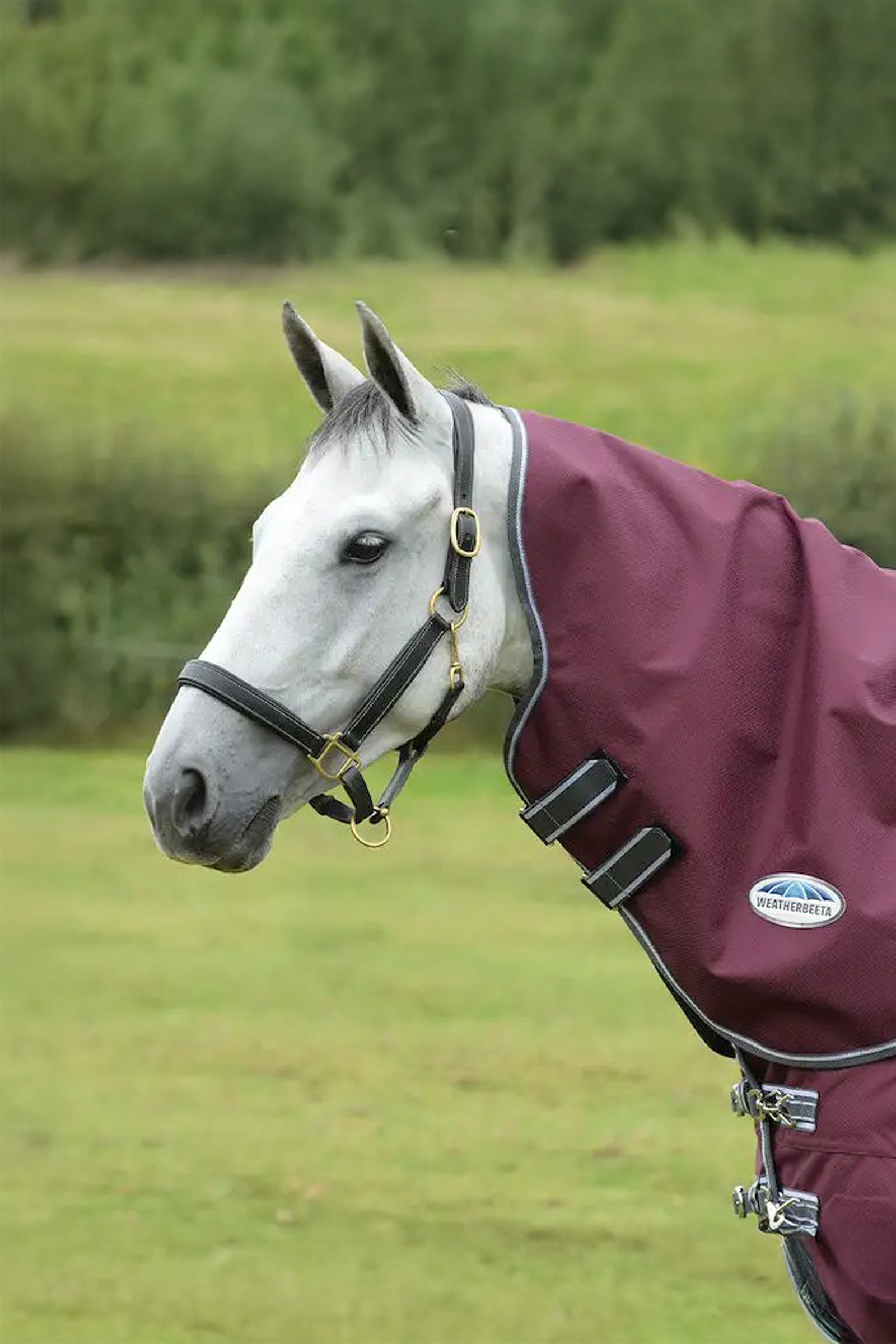 Weatherbeeta Comfitec Plus Dynamic II Medium/Lite halst&auml;cke, 100g