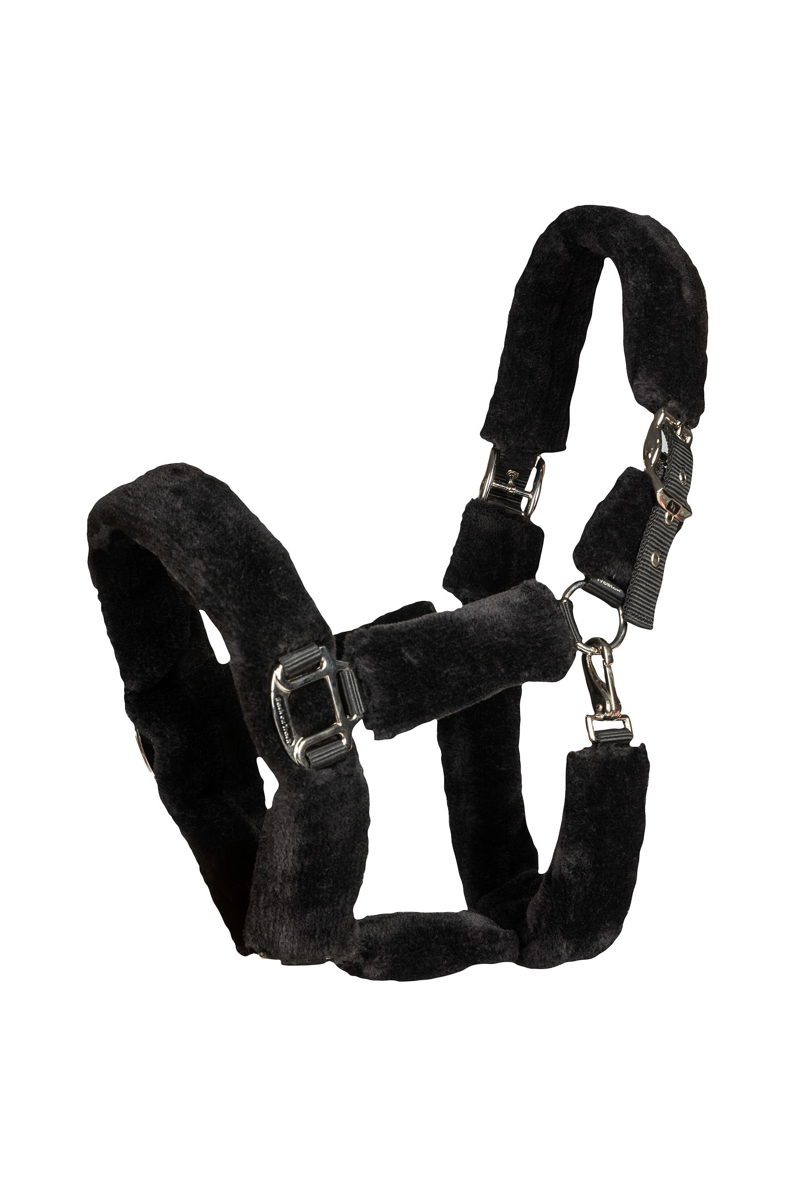 Back on Track Audrey grimma