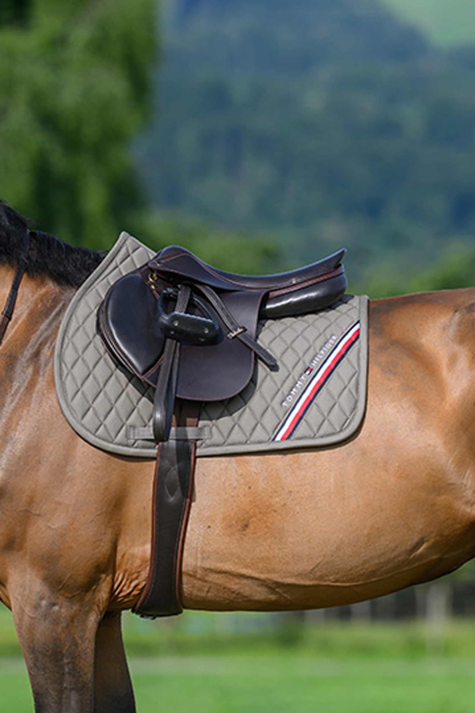 Ash Tommy Hilfiger Equestrian Stanford hoppschabrak