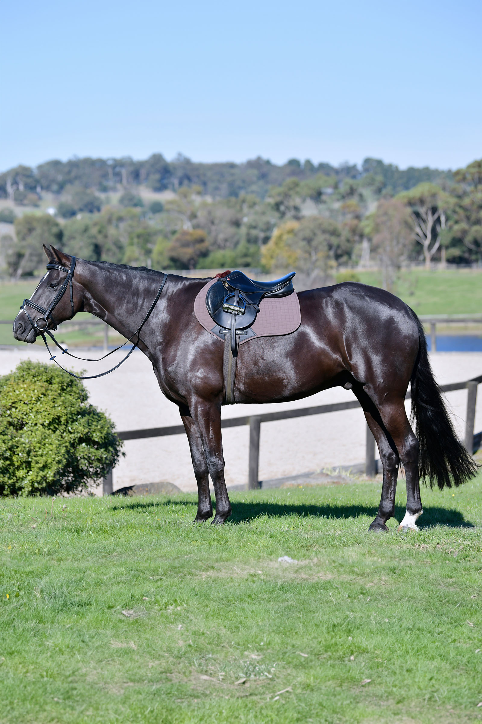 Weatherbeeta Prime Comfy Fleece hoppschabrak