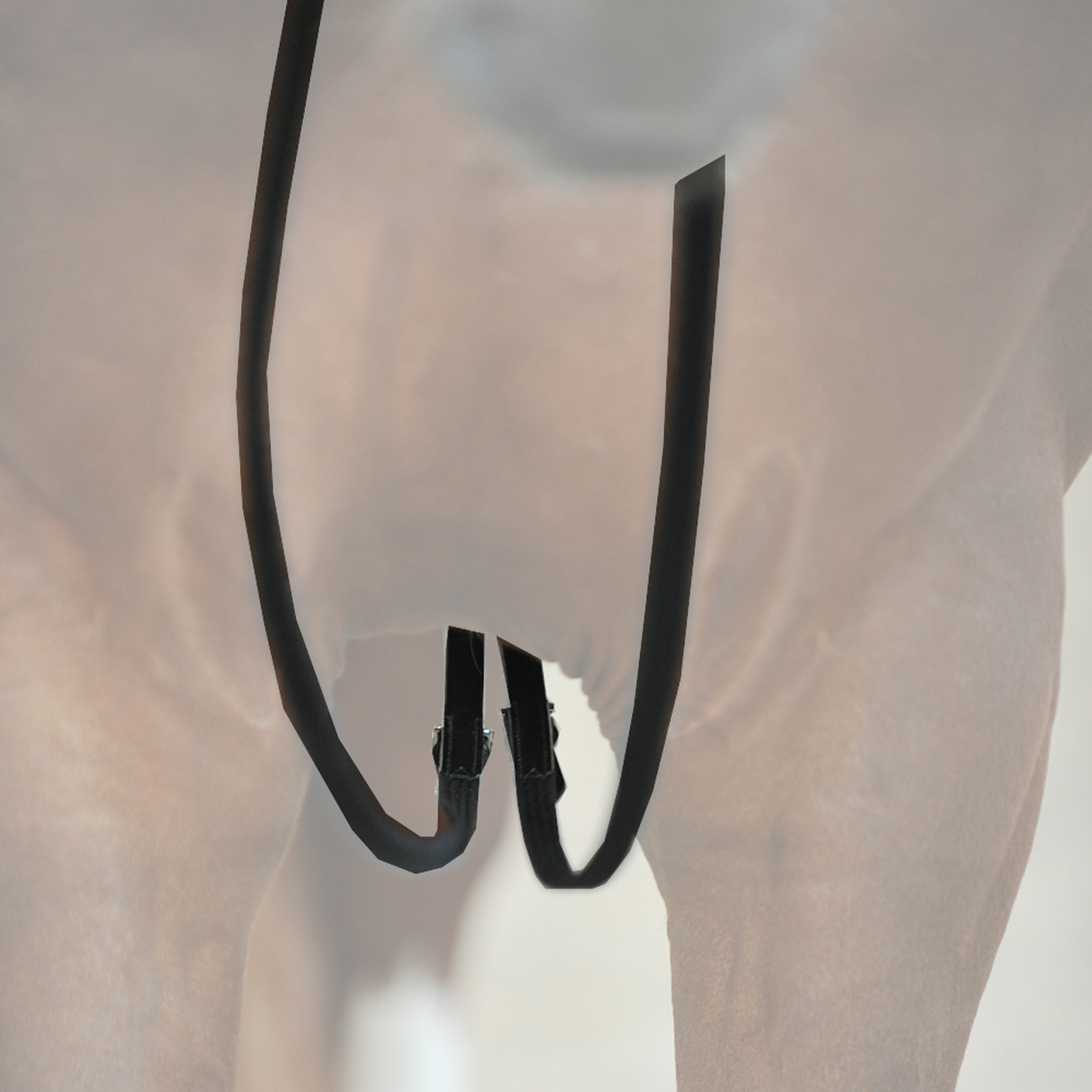 Kavalkade gramantyglar, v&auml;vribb