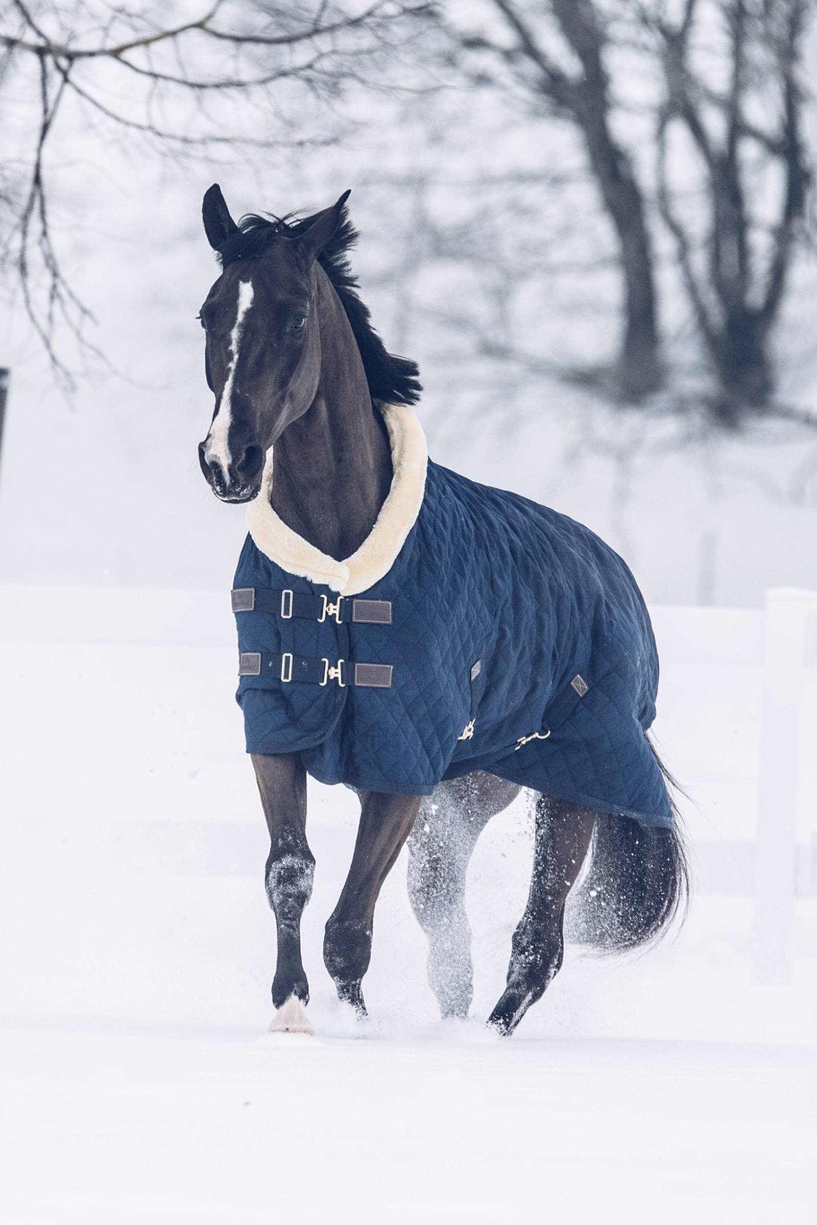 Kentucky Horsewear tävlingstäcke, 160 g