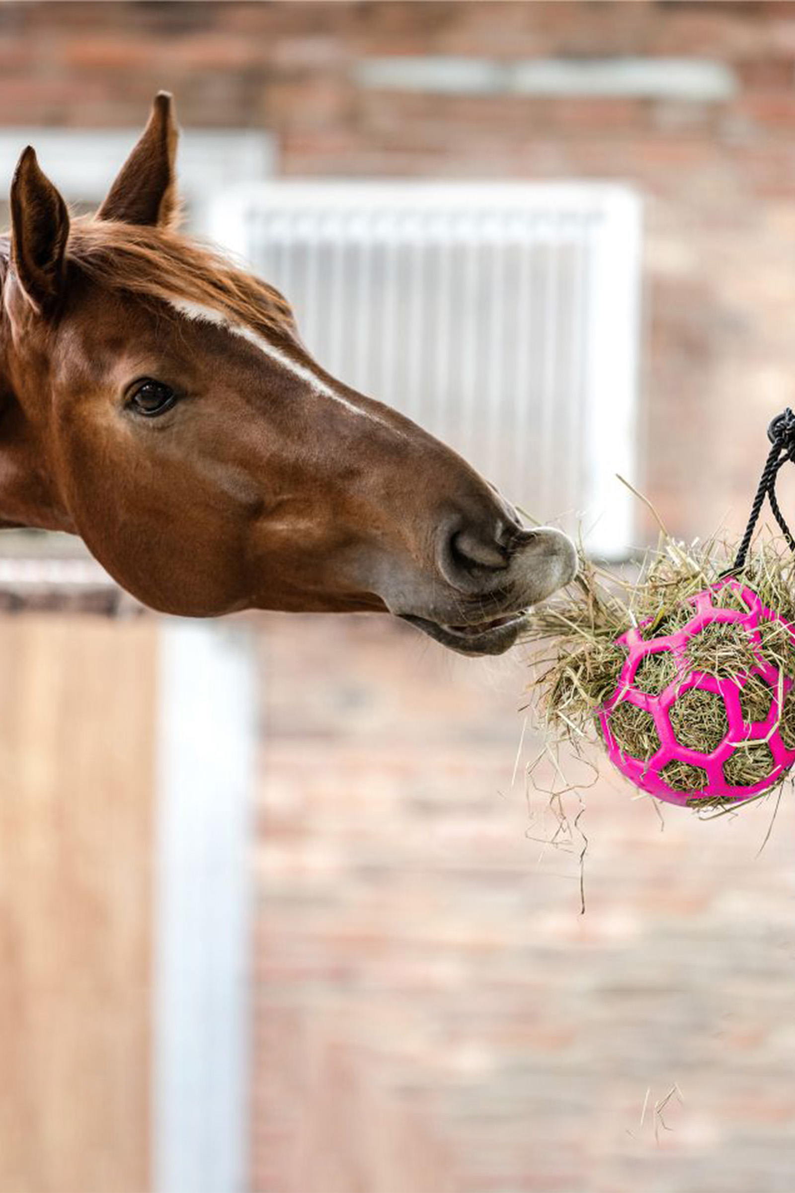 Waldhausen Högaboll