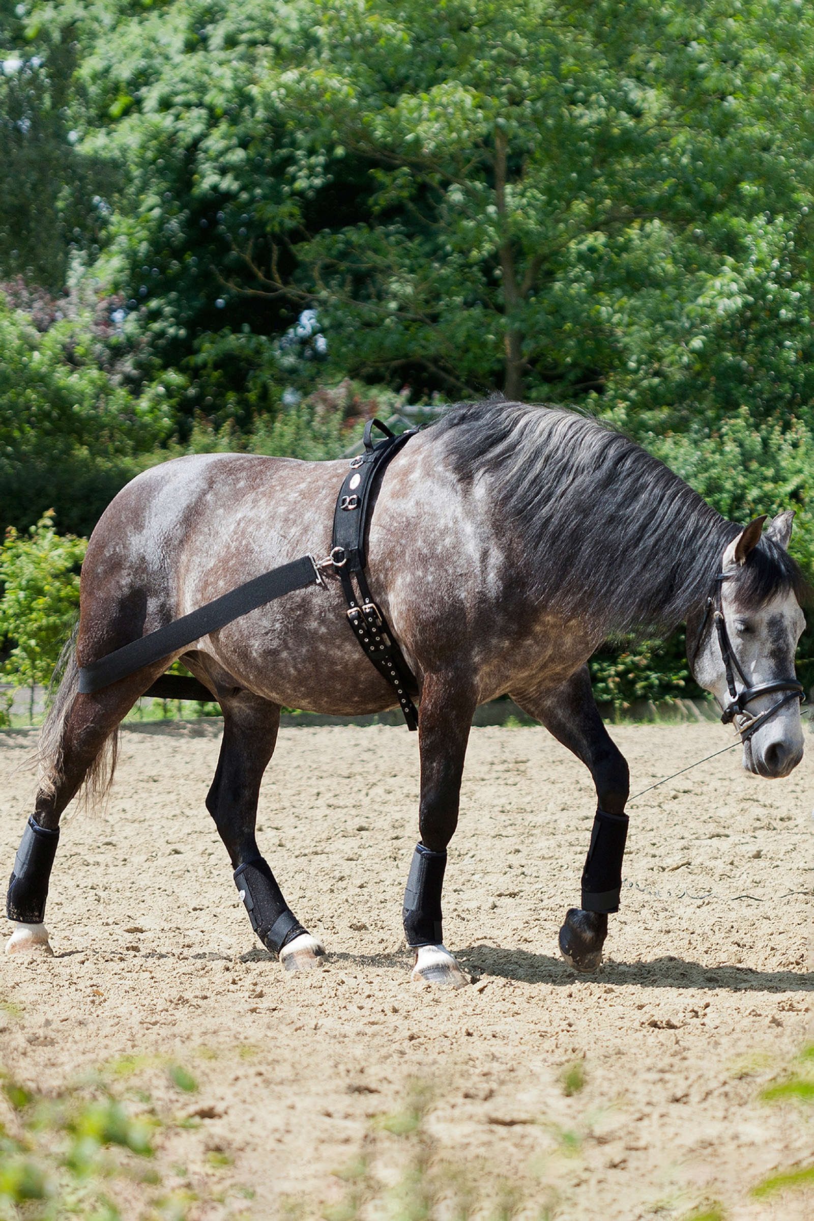 USG CoraLe tr&auml;ningssystem