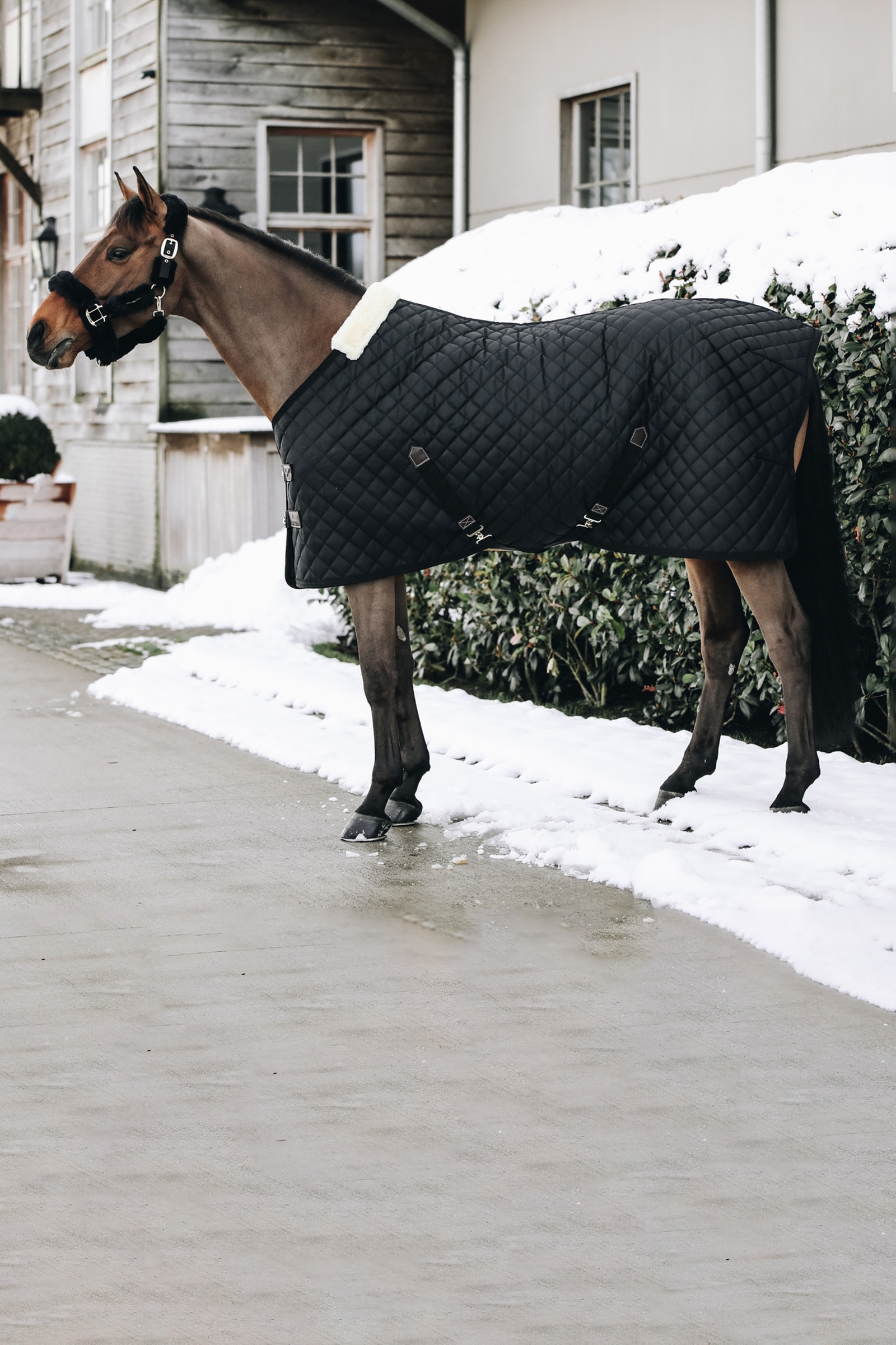 Kentucky Horsewear stalltäcke, 400 g