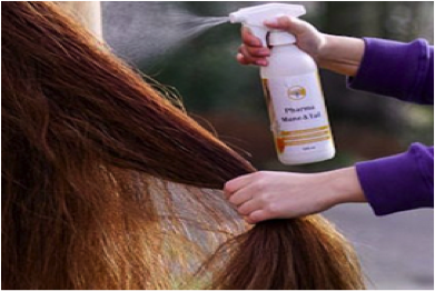 Svansvård Svansvård