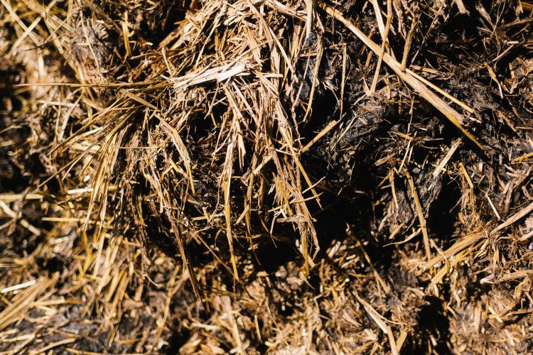 Ammoniakhaltigt underlag