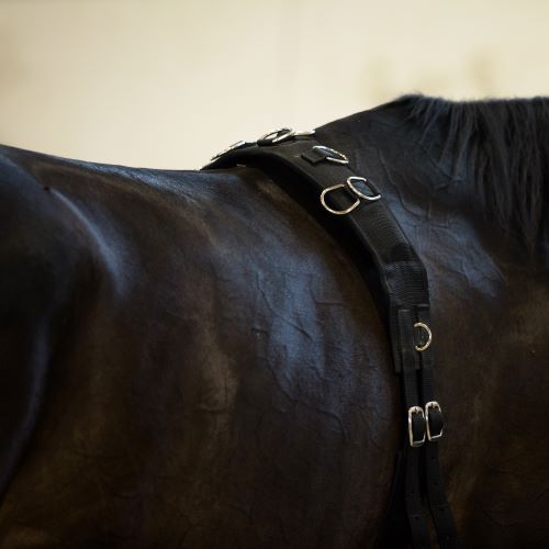 Longeringsgjord med ringar