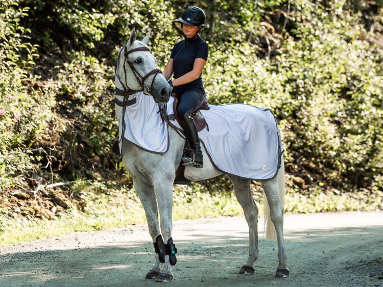 Ridtäcke som skyddar mot flugor
